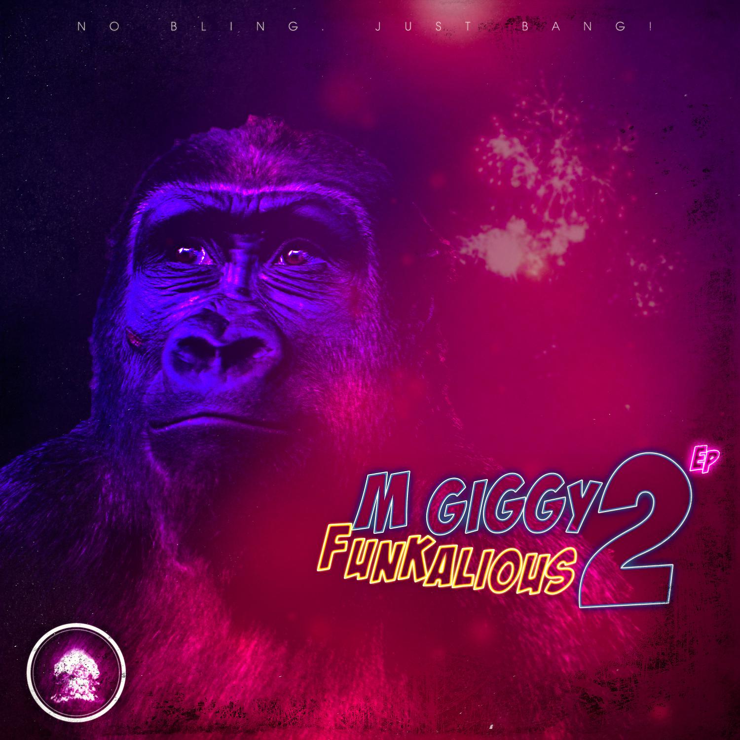 Постер альбома Funkalicious 2 EP