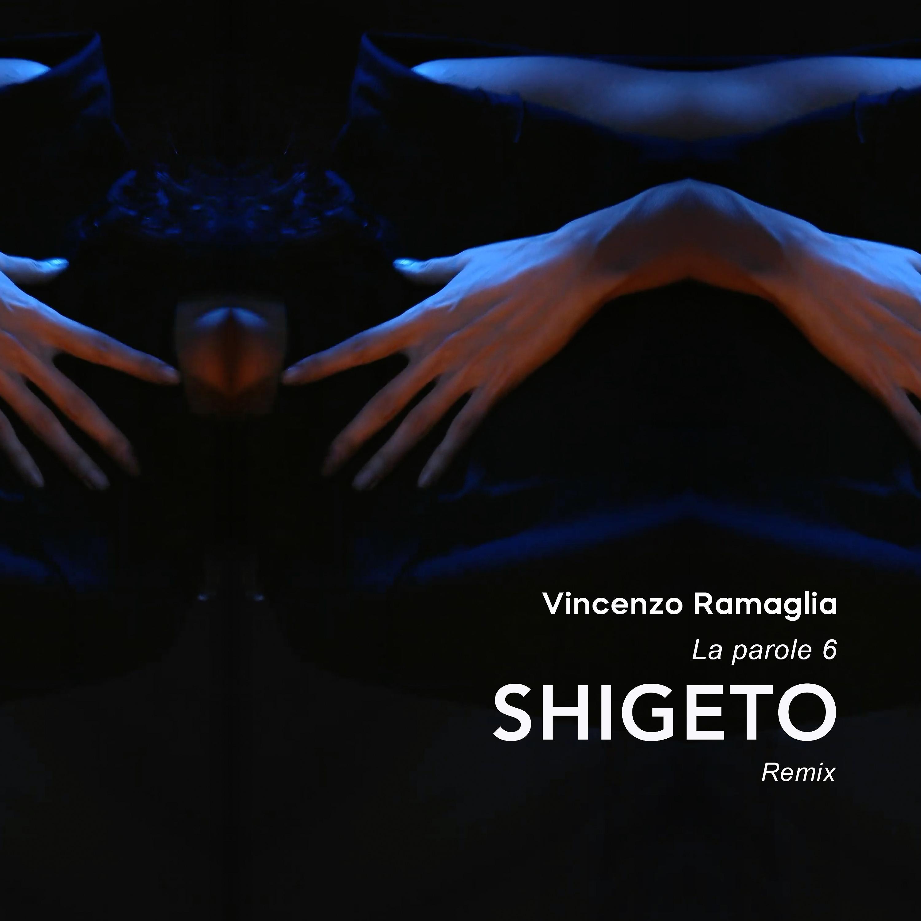 Постер альбома La parole 6 (Shigeto Remix)