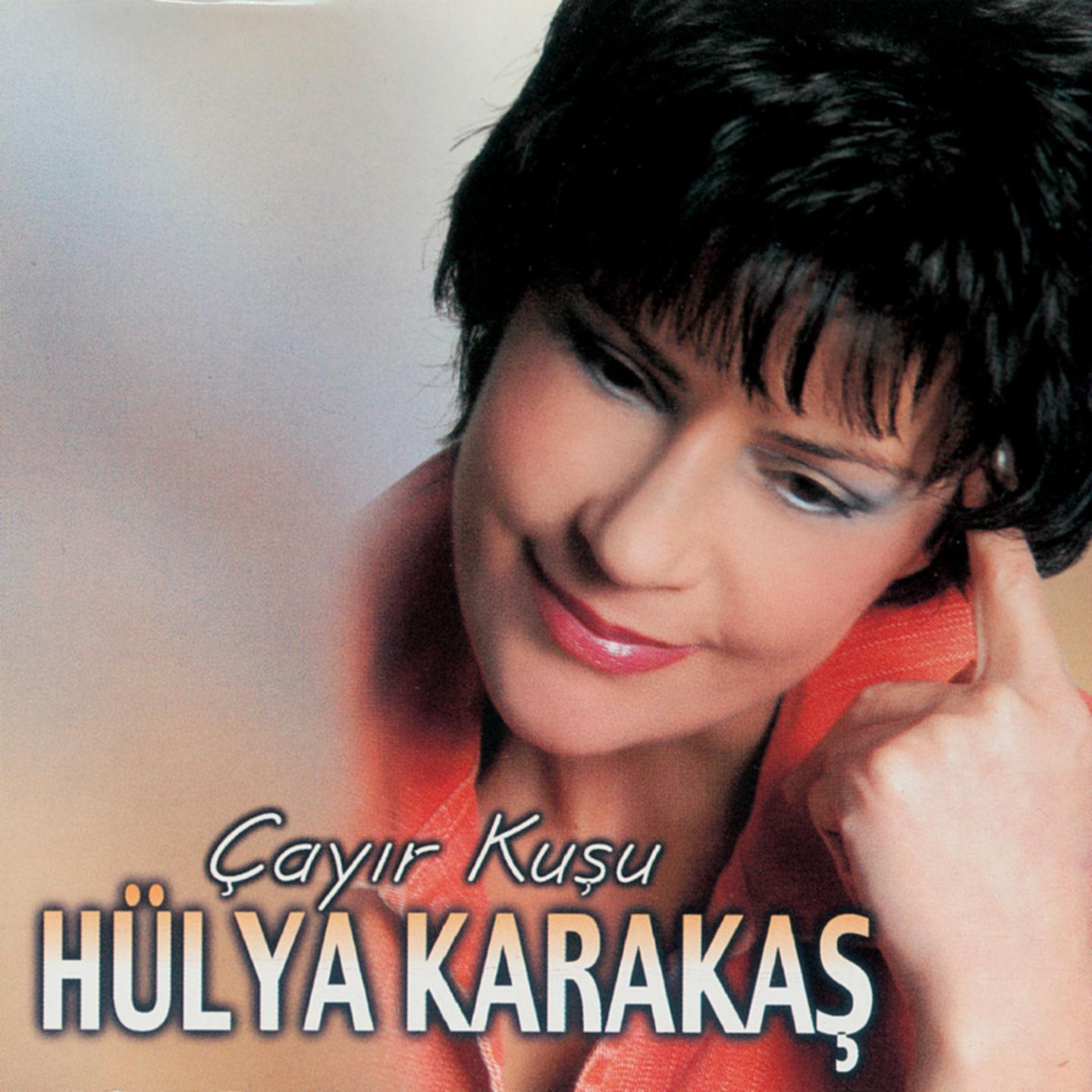 Постер альбома Çayır Kuşu
