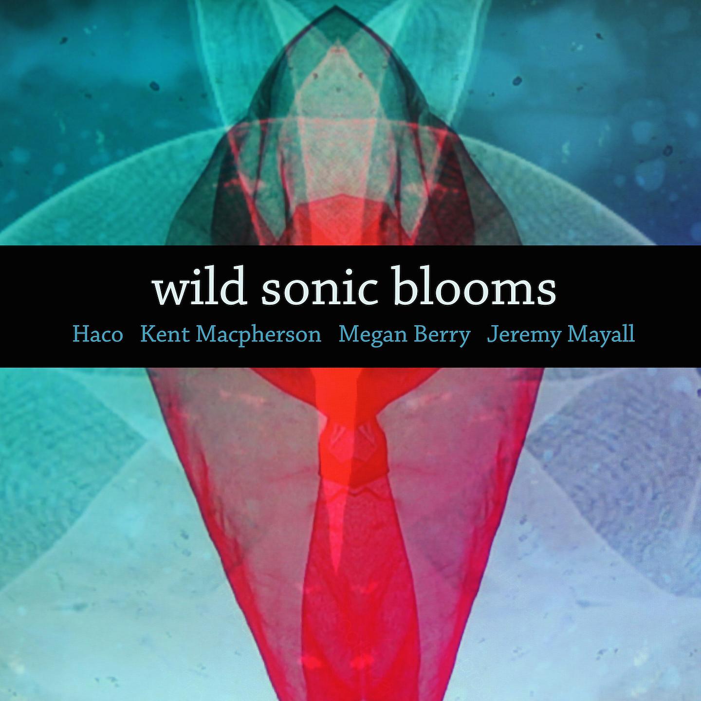 Постер альбома Wild Sonic Blooms