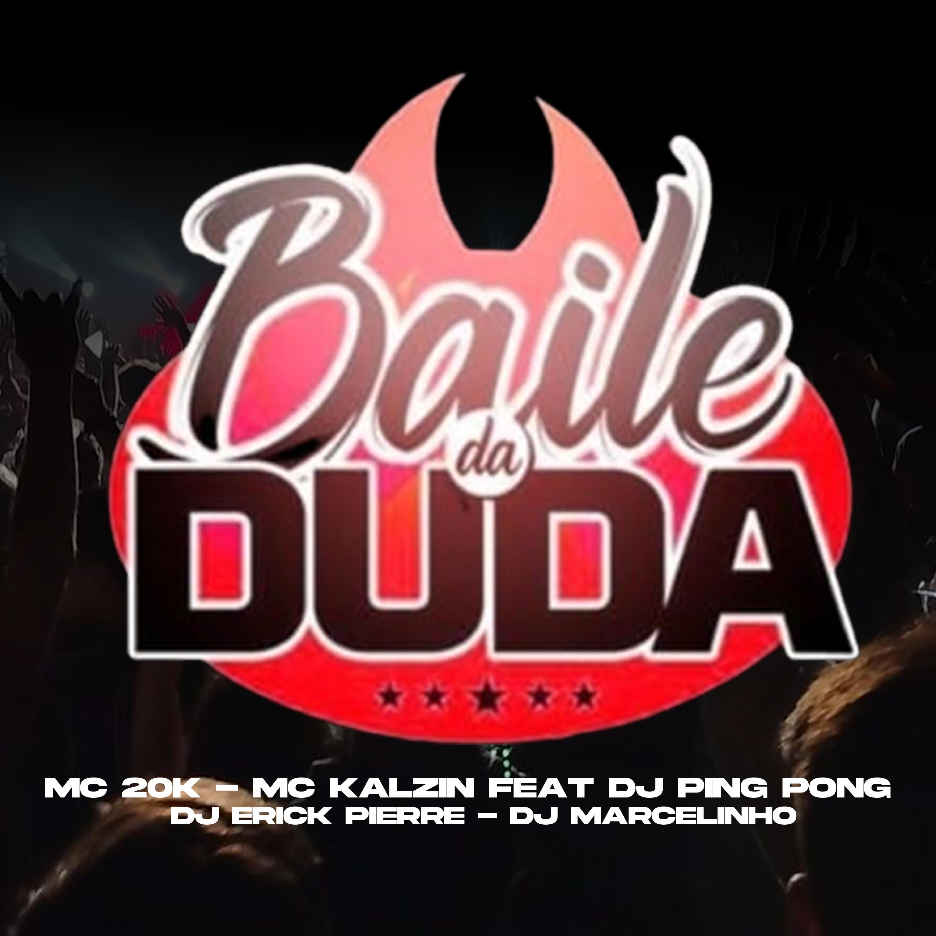 Постер альбома Baile da Duda