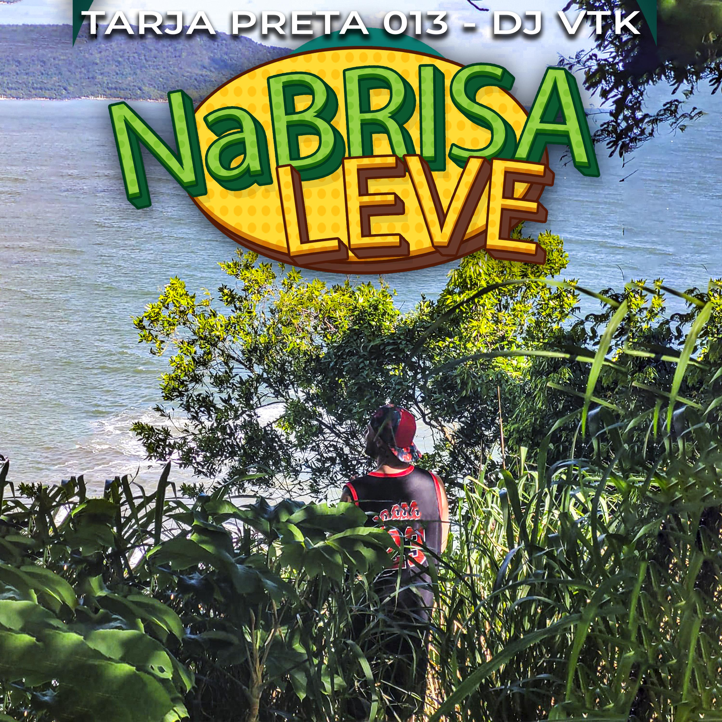 Постер альбома Na Brisa Leve