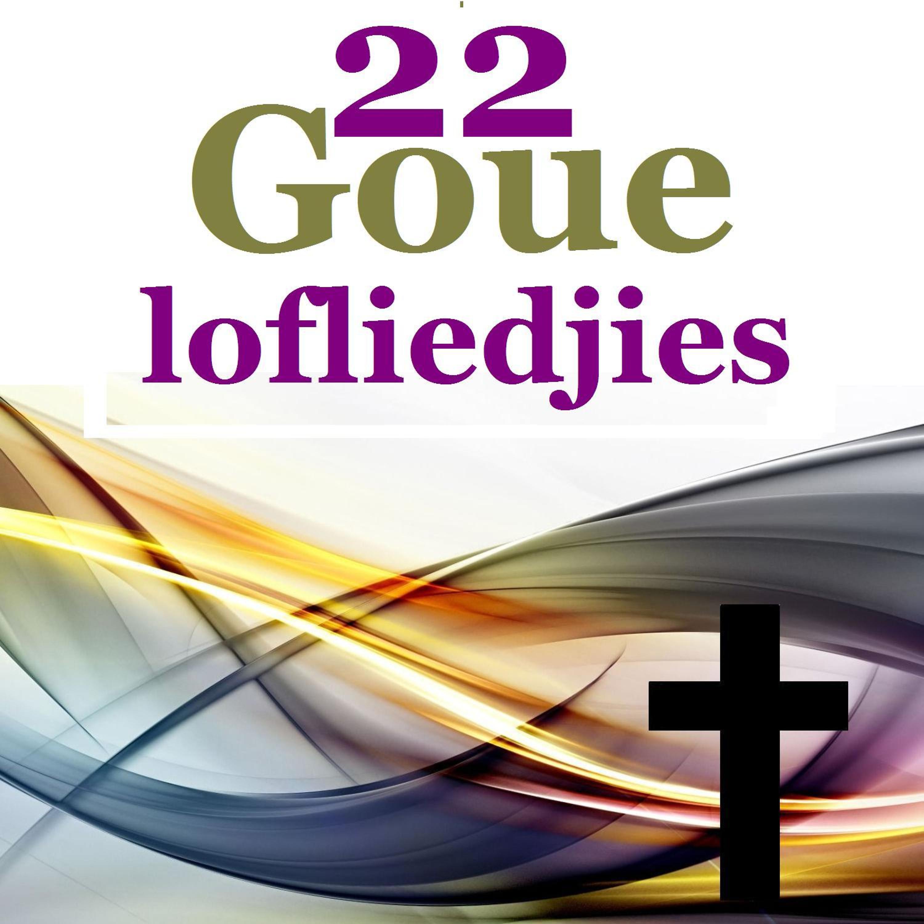 Постер альбома 22 Goue Lofliedjies