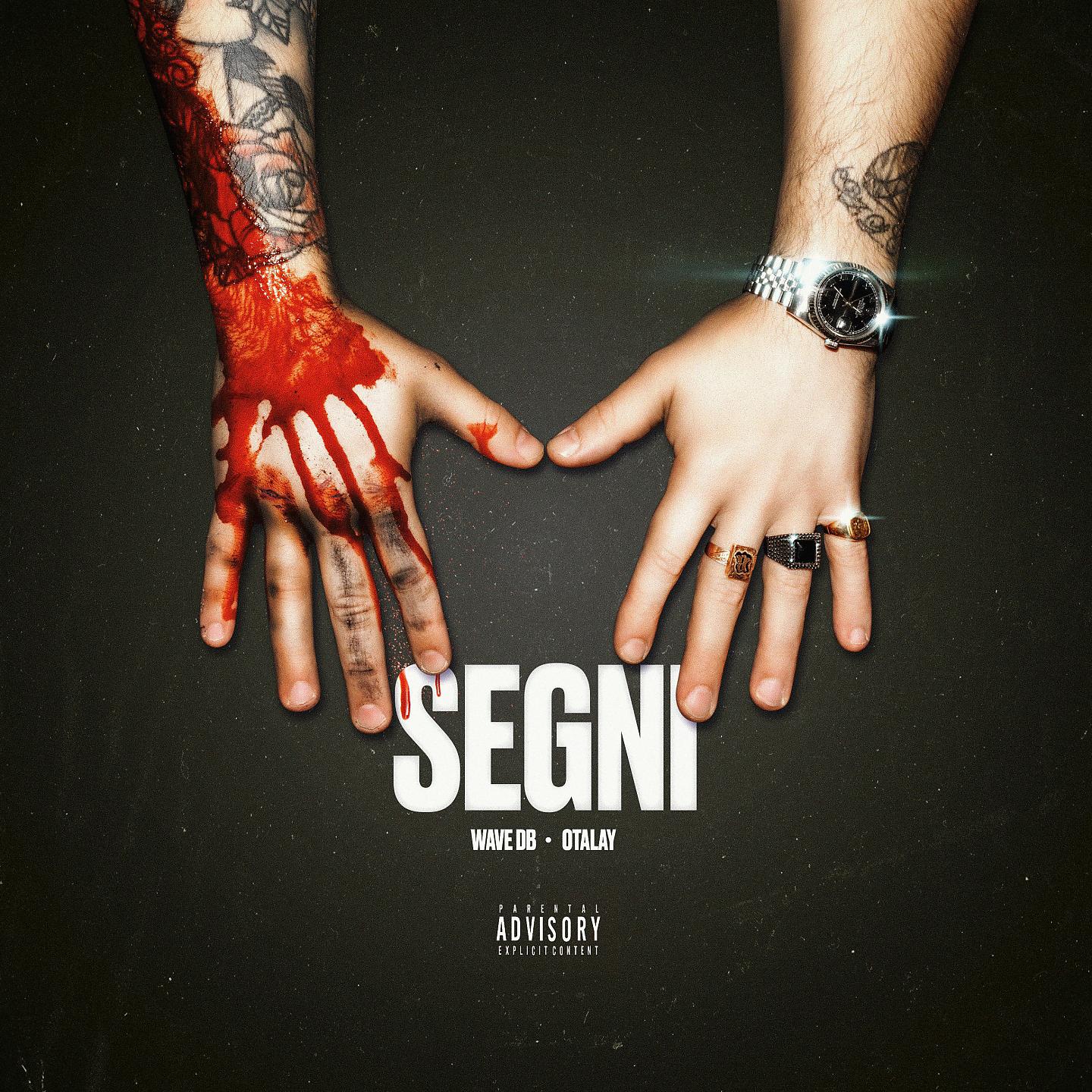 Постер альбома Segni