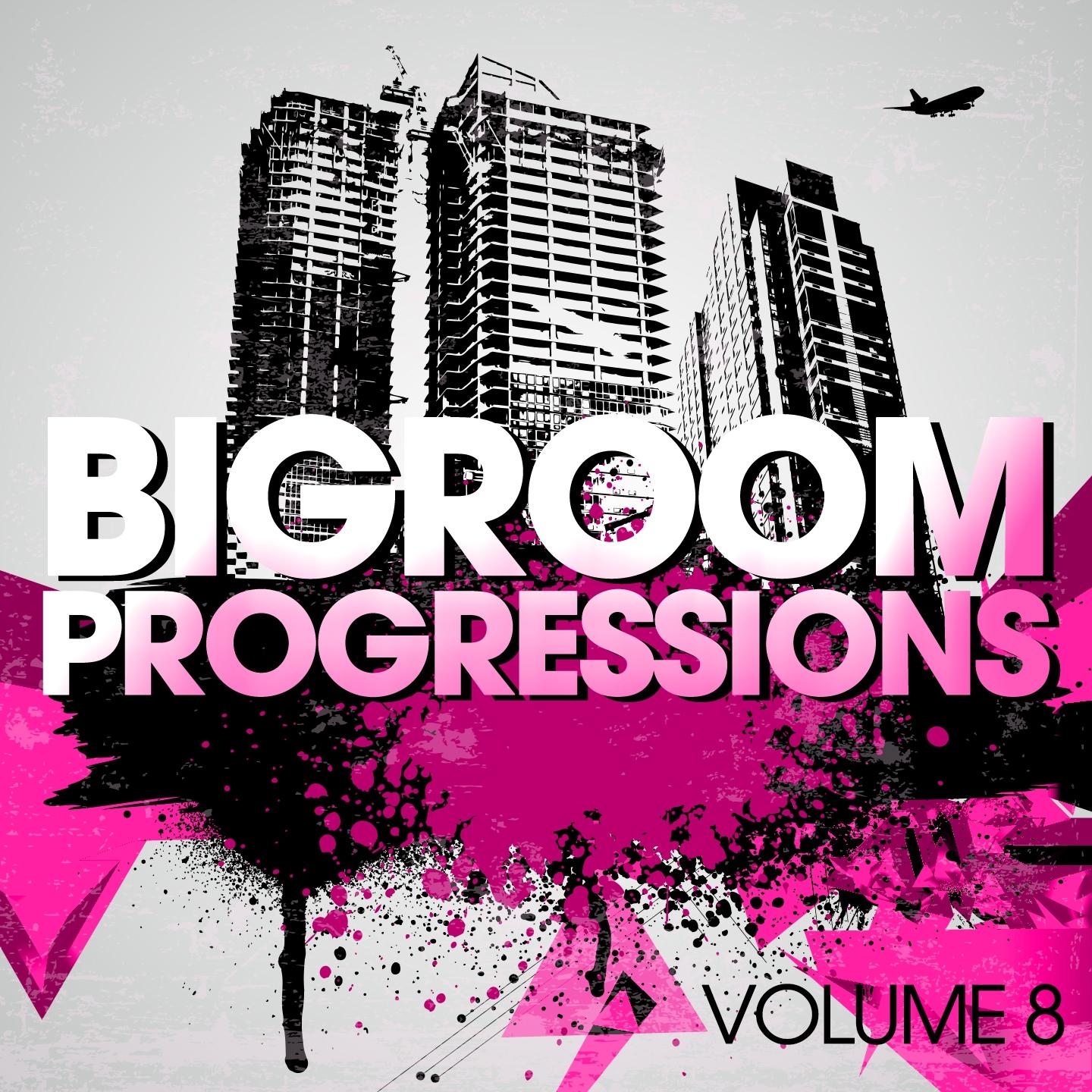 Постер альбома Bigroom Progressions, Vol. 8