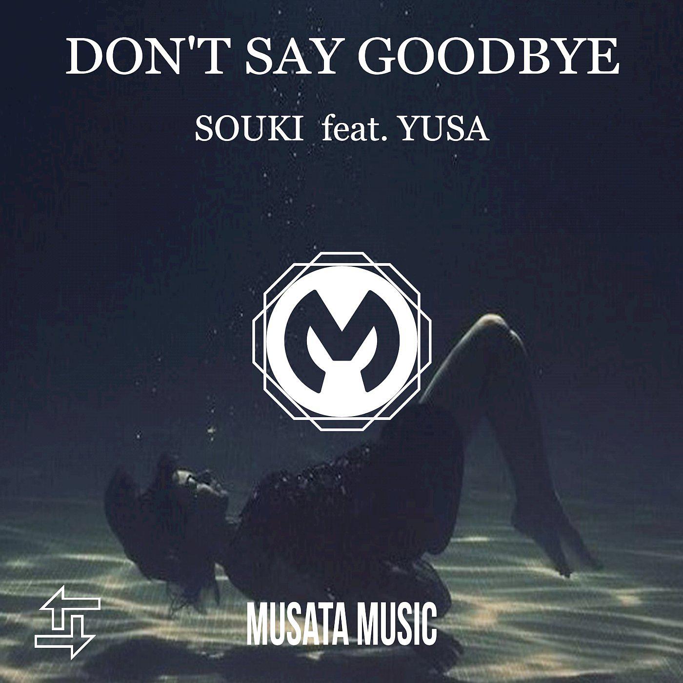 Постер альбома Don't Say Goodbye