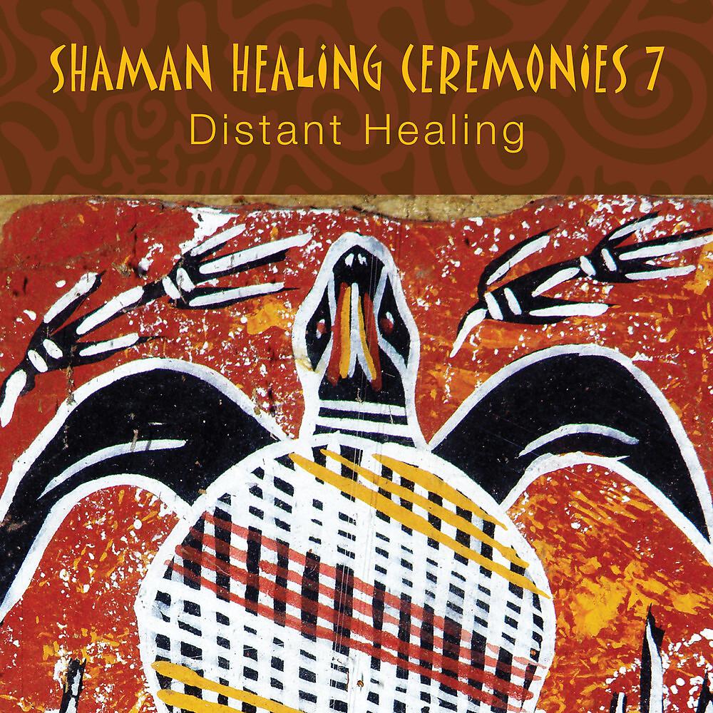 Постер альбома Shaman Healing Ceremonies, Pt. 7