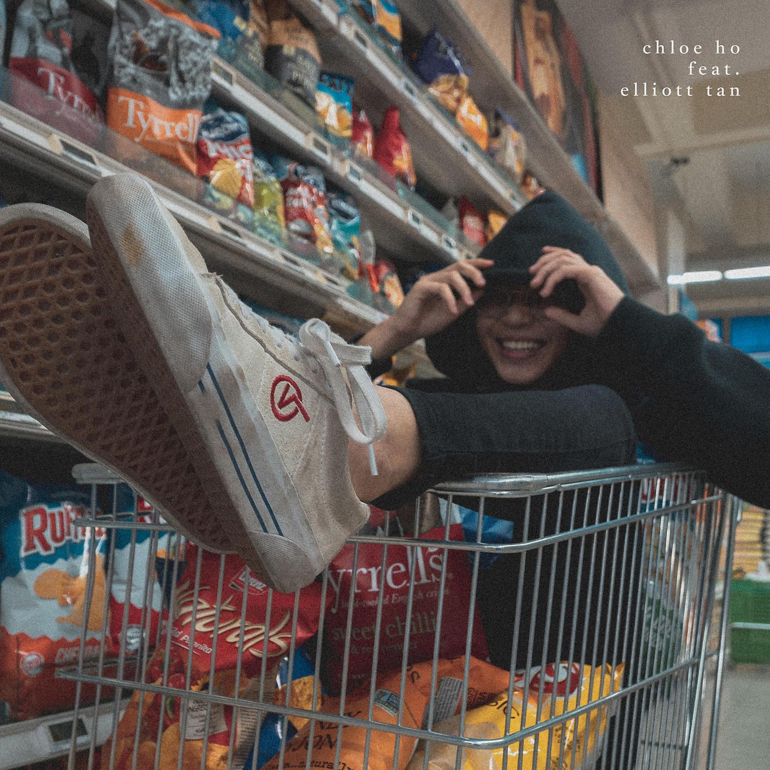 Постер альбома Grocery Shopping (feat. Elliott Tan)