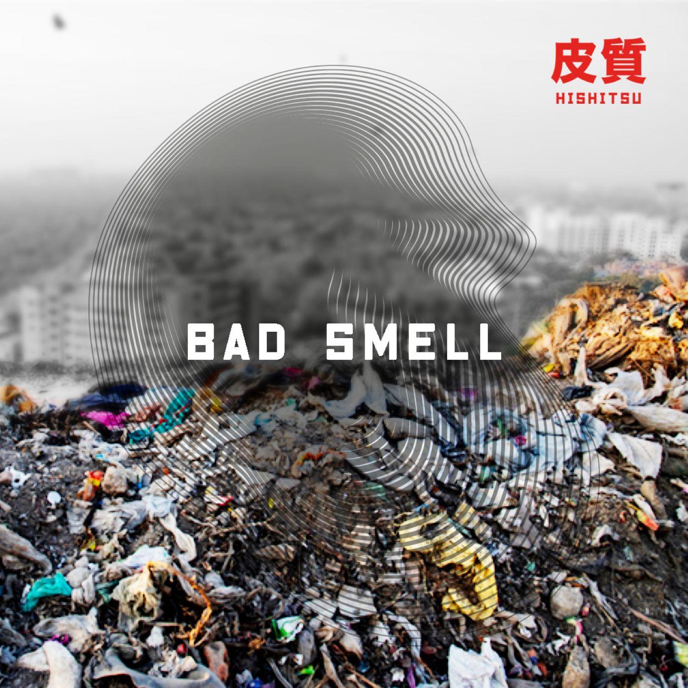 Постер альбома Bad Smell