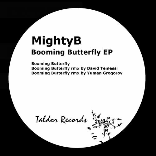 Постер альбома Booming Butterfly