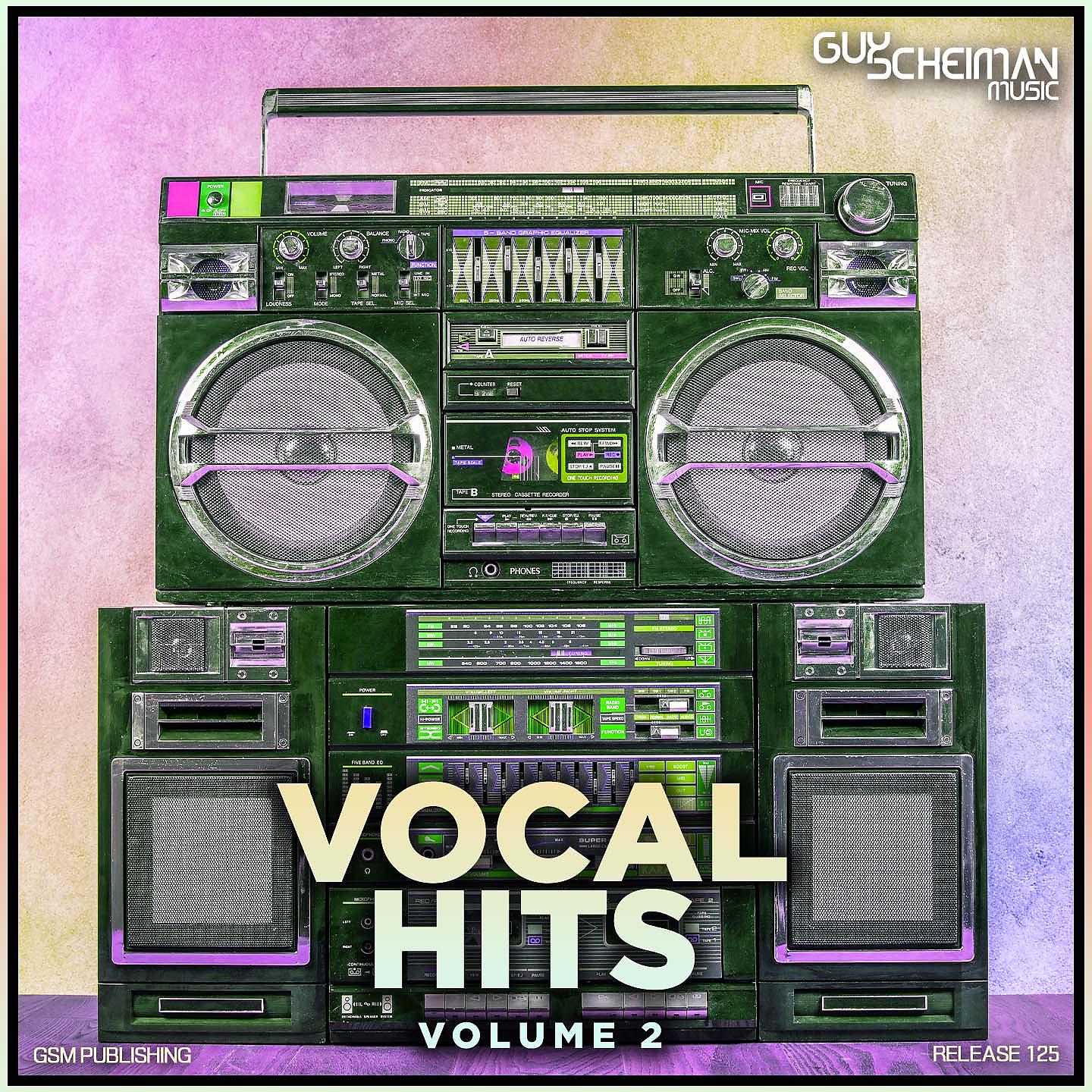 Постер альбома Vocal Hits, Vol. 2