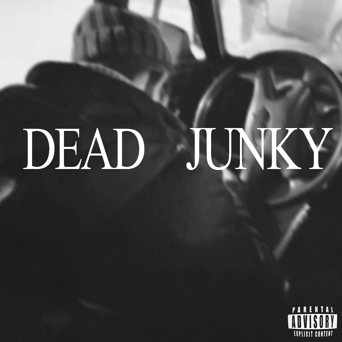 Постер альбома Dead Junky
