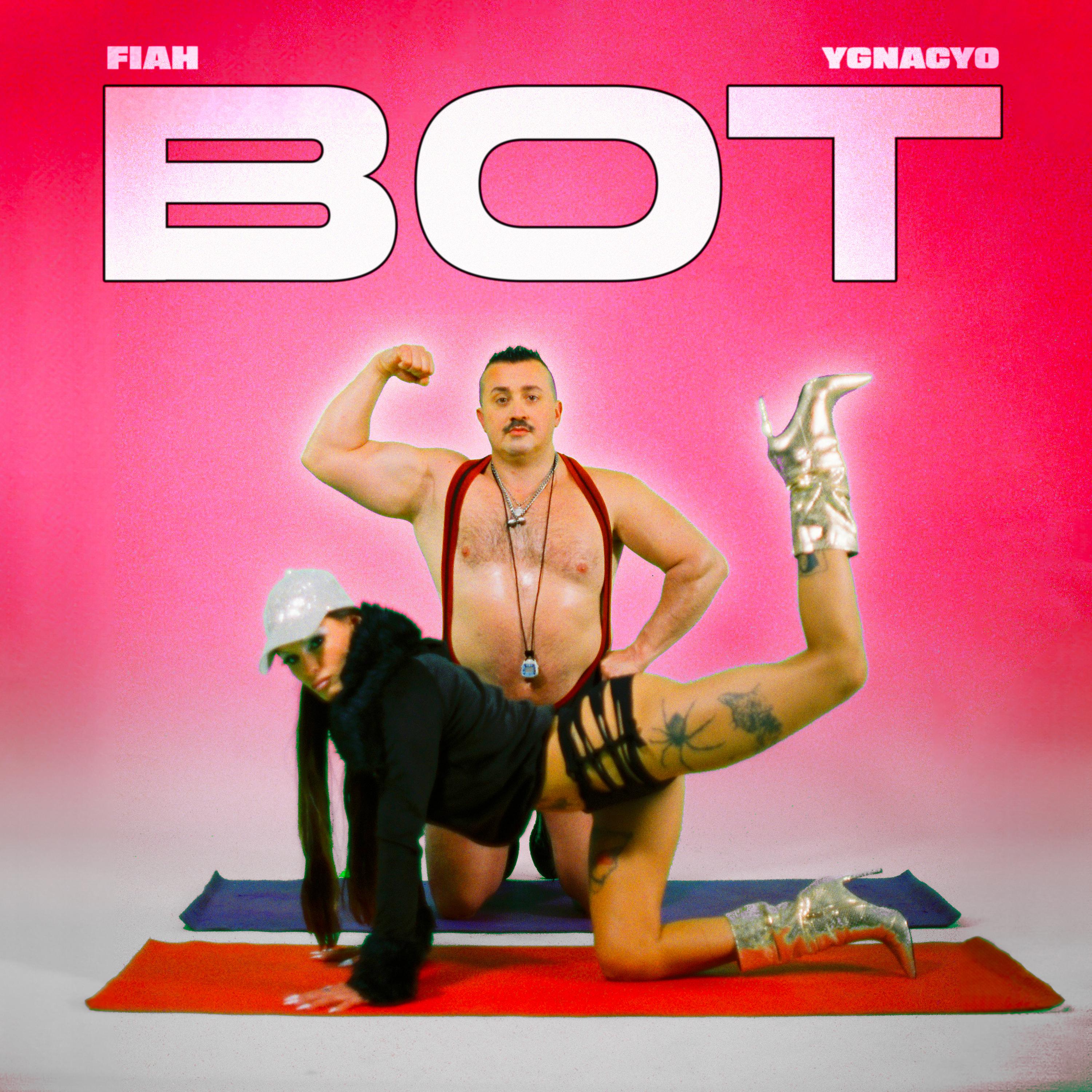 Постер альбома Bot