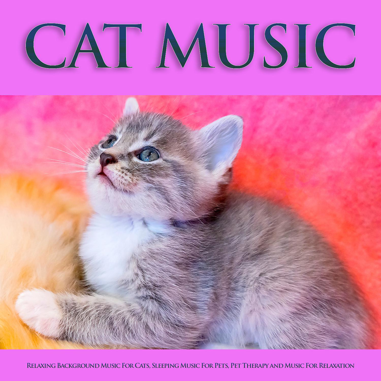 Постер альбома Cat Music: Relaxing Background Music For Cats, Sleeping Music For Pets, Pet Therapy and Music For Relaxation