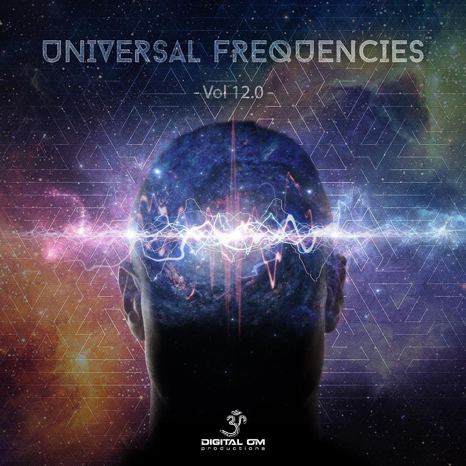 Постер альбома Universal Frequencies, Vol. 12