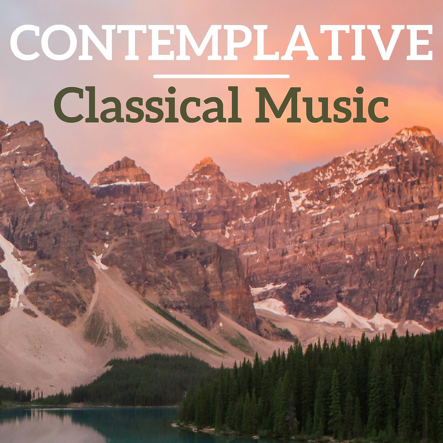 Постер альбома Contemplative Classical Music