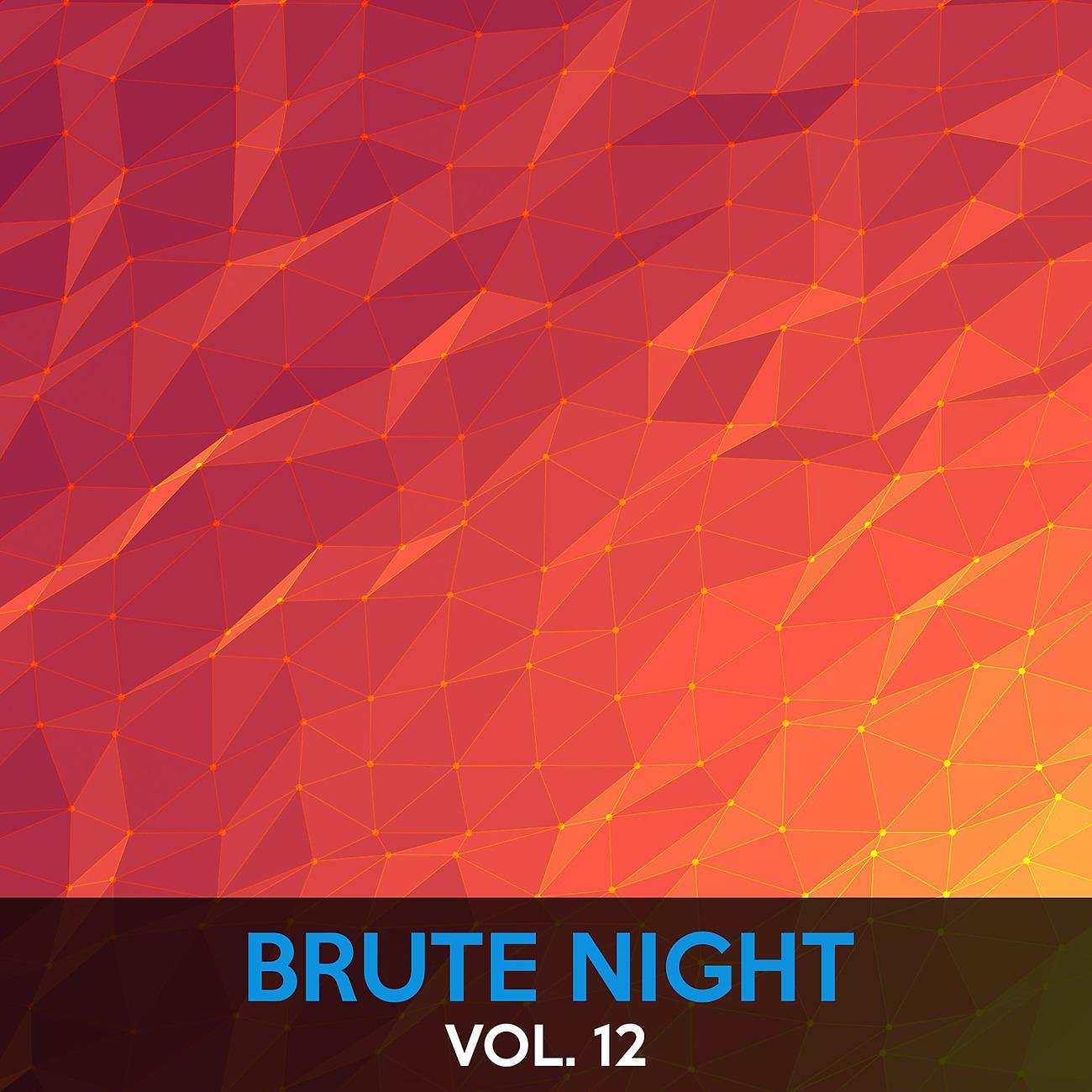 Постер альбома Brute Night, Vol. 12