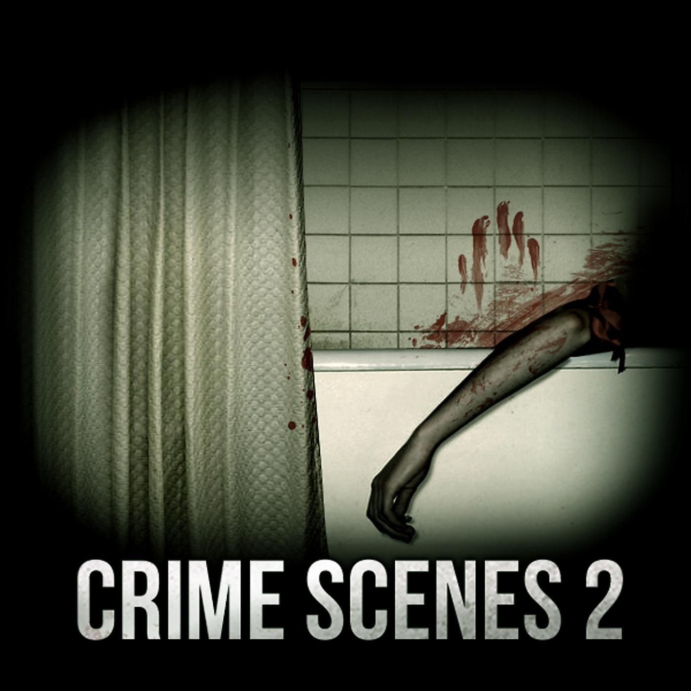 Постер альбома Crime Scenes 2