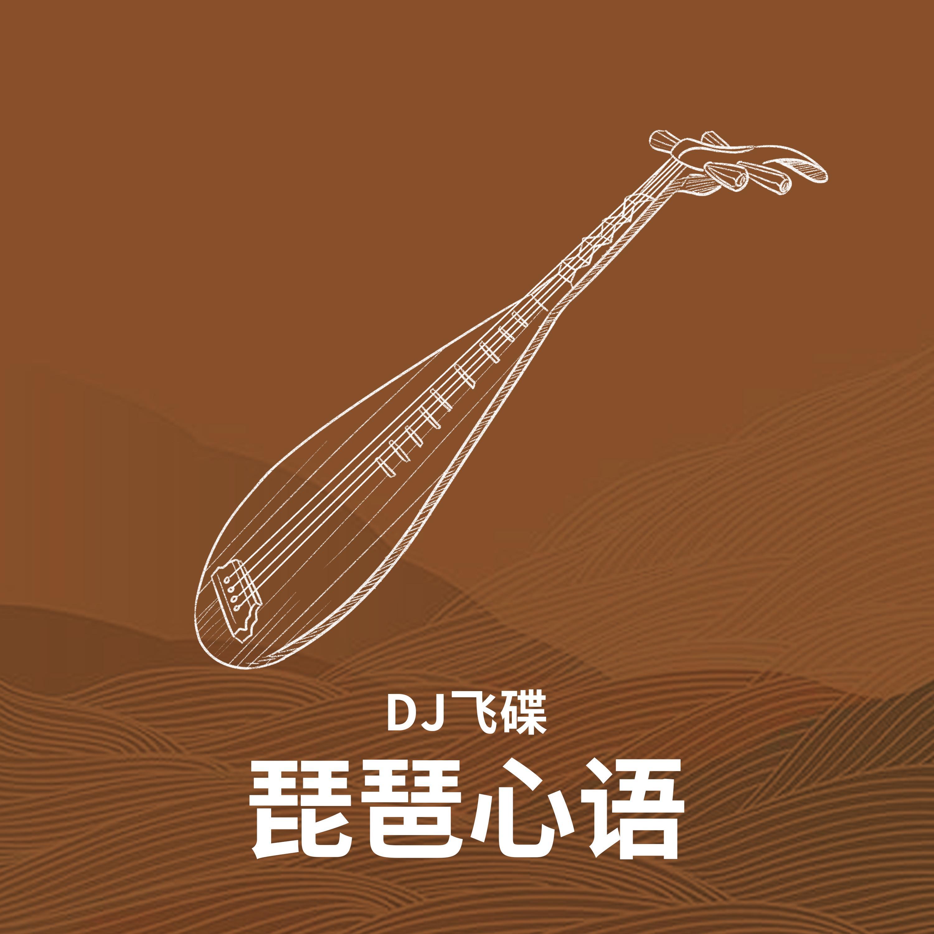 Постер альбома 琵琶心语