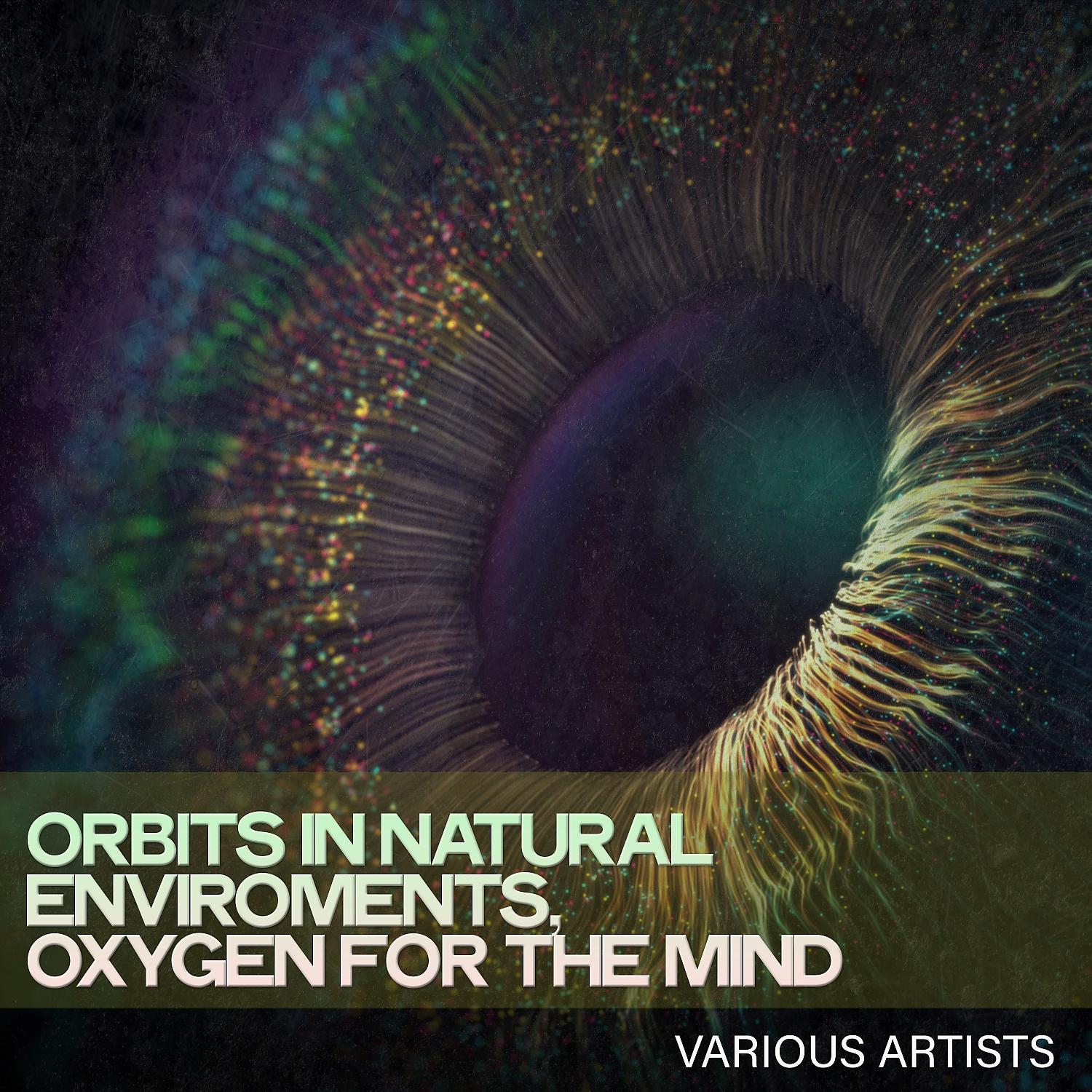 Постер альбома Orbits in Natural Enviroments, Oxygen for the Mind