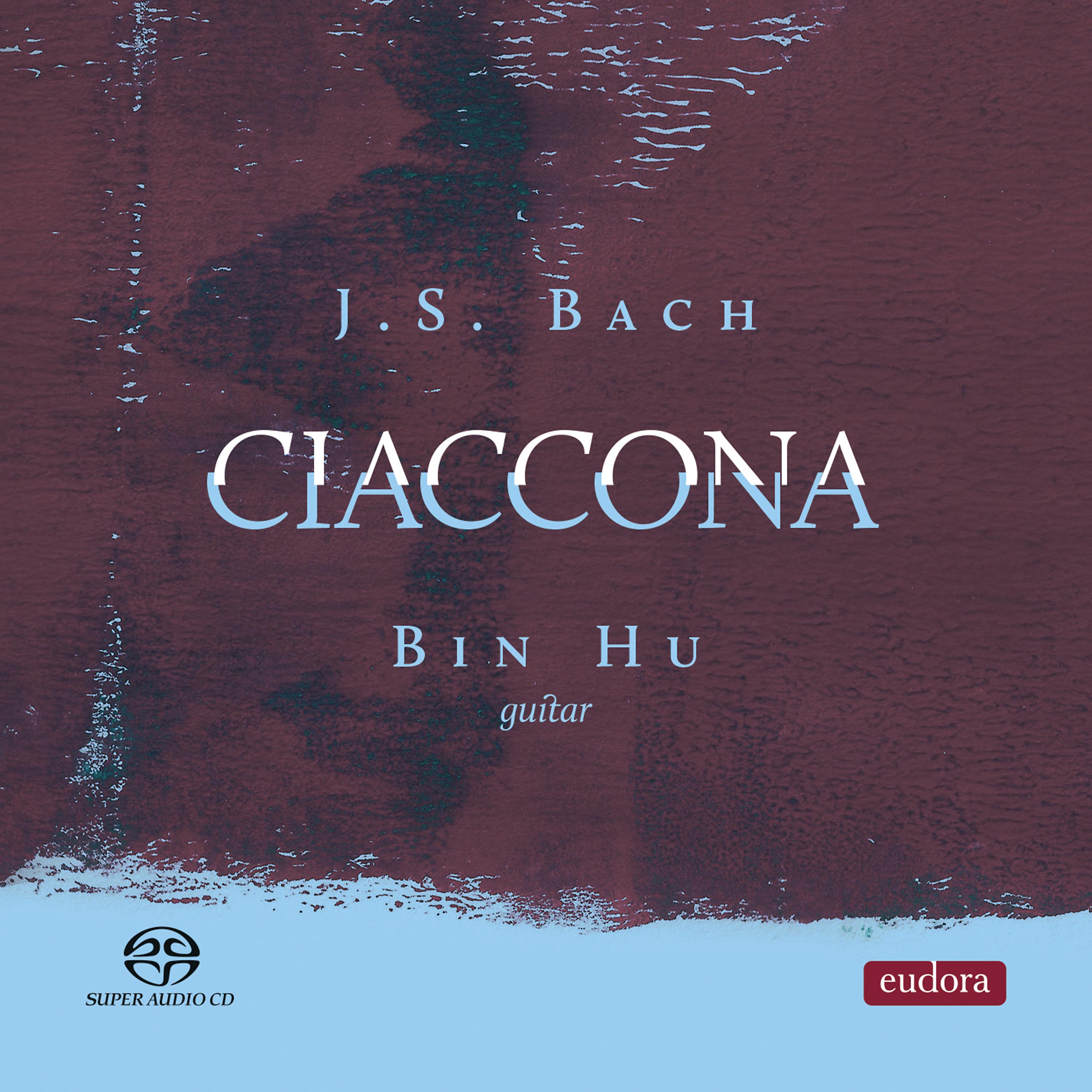 Постер альбома Ciaccona