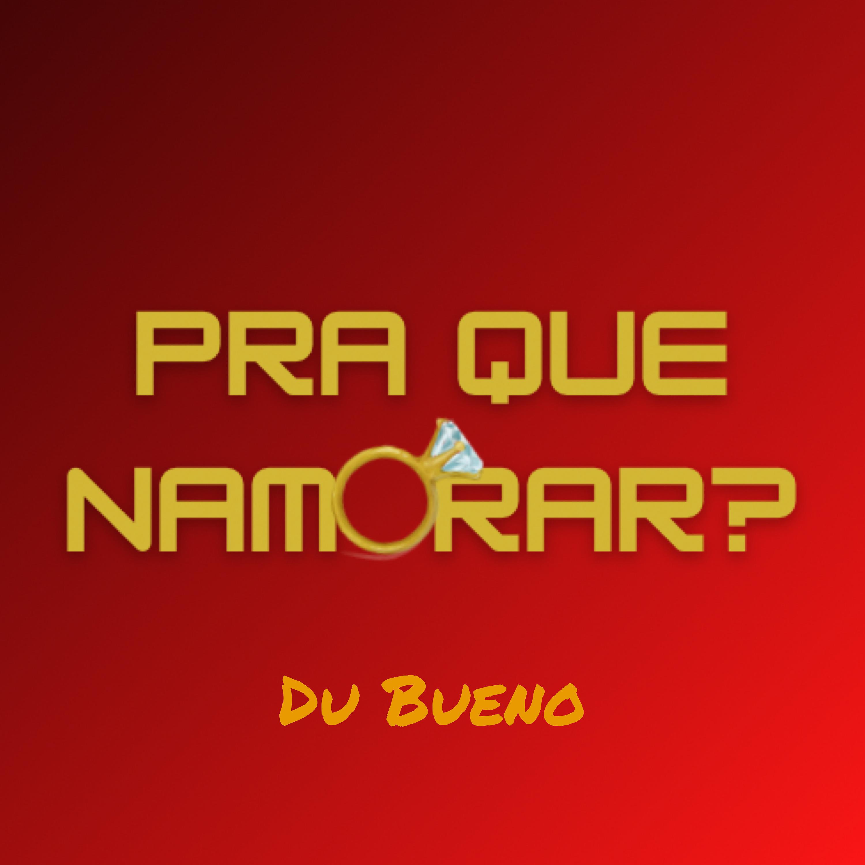 Постер альбома Pra Que Namorar ?