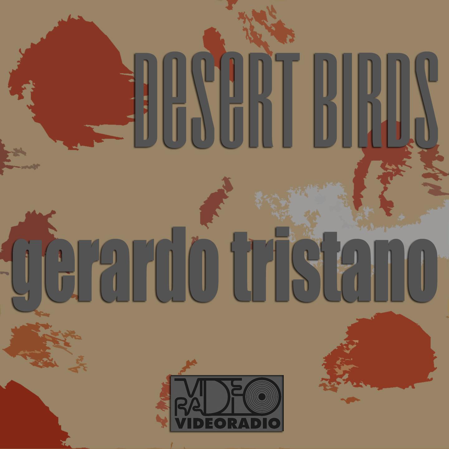 Постер альбома Desert Birds