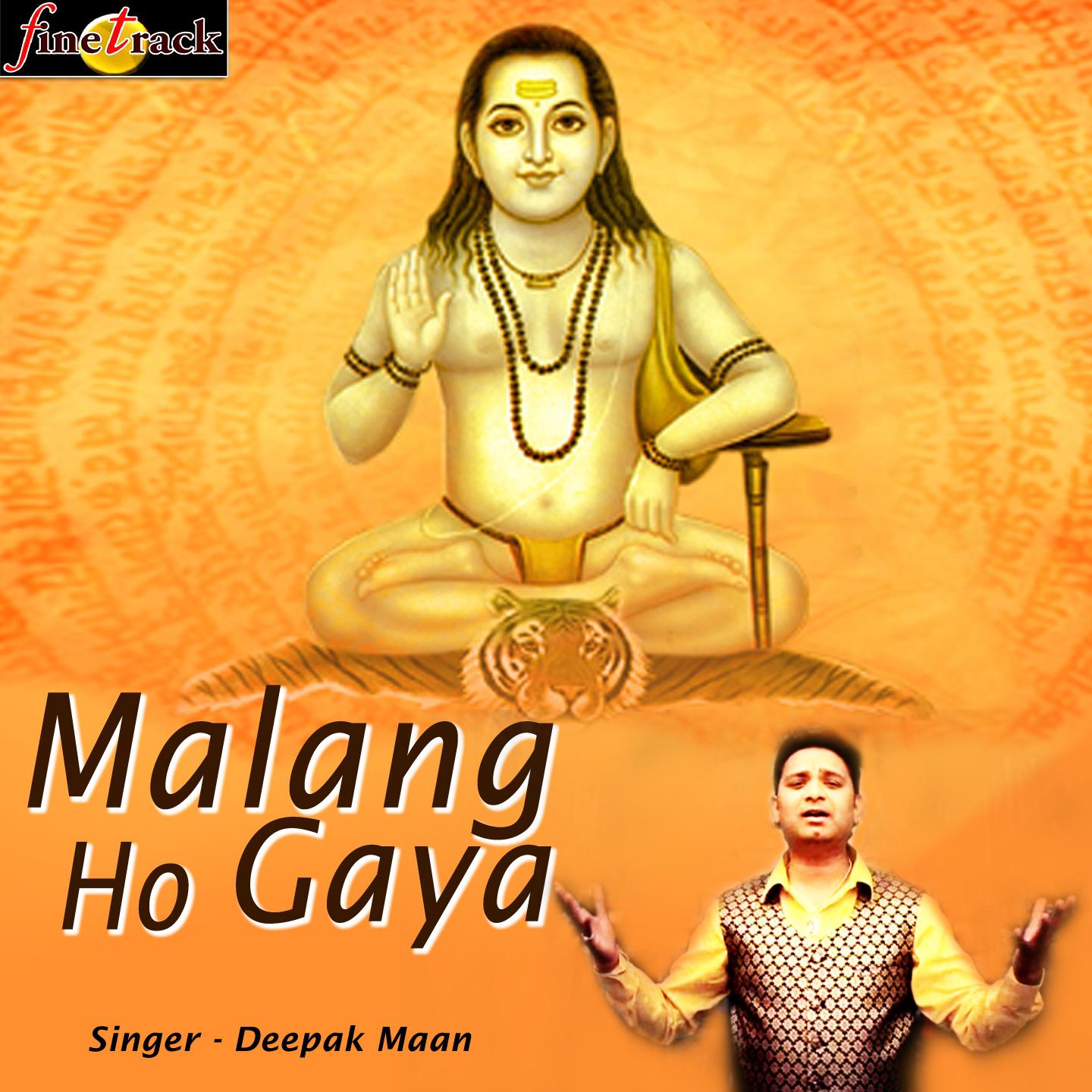 Постер альбома Malang Ho Gaya