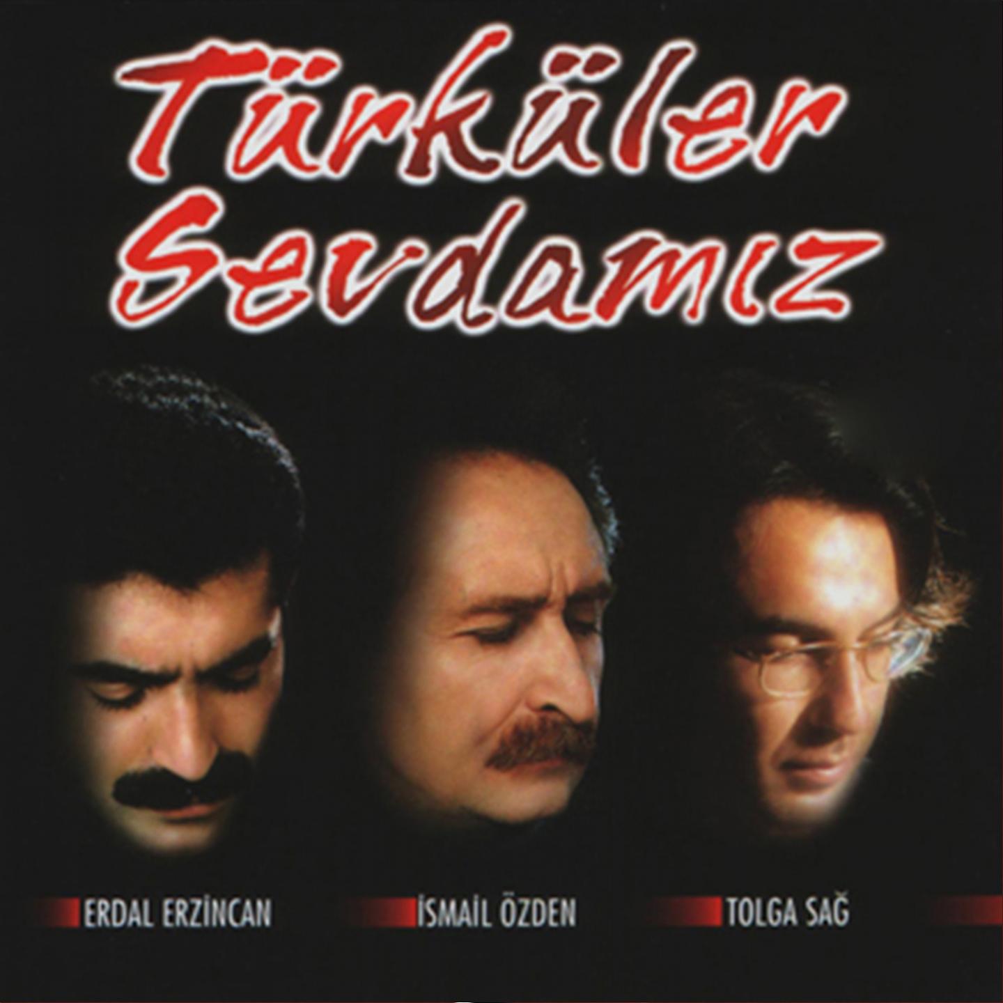 Постер альбома Türküler Sevdamız