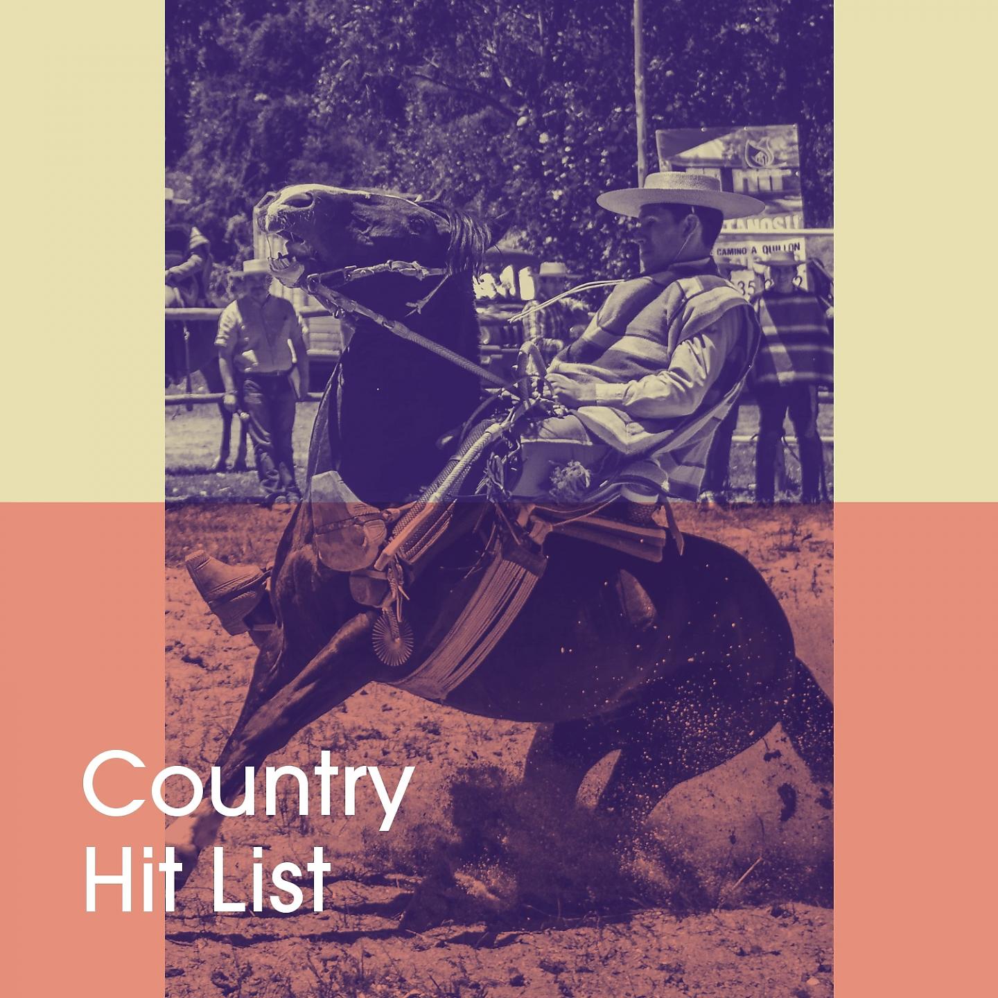 Постер альбома Country Hit List