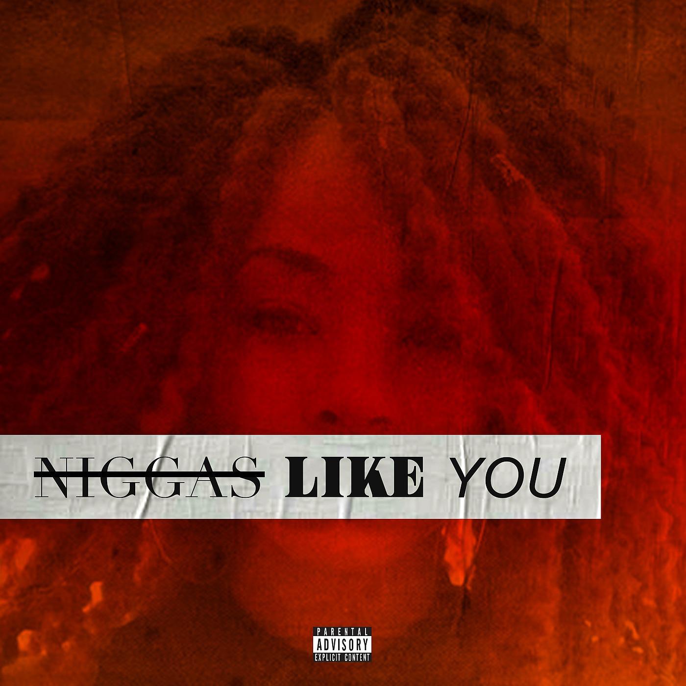 Постер альбома Niggas Like You