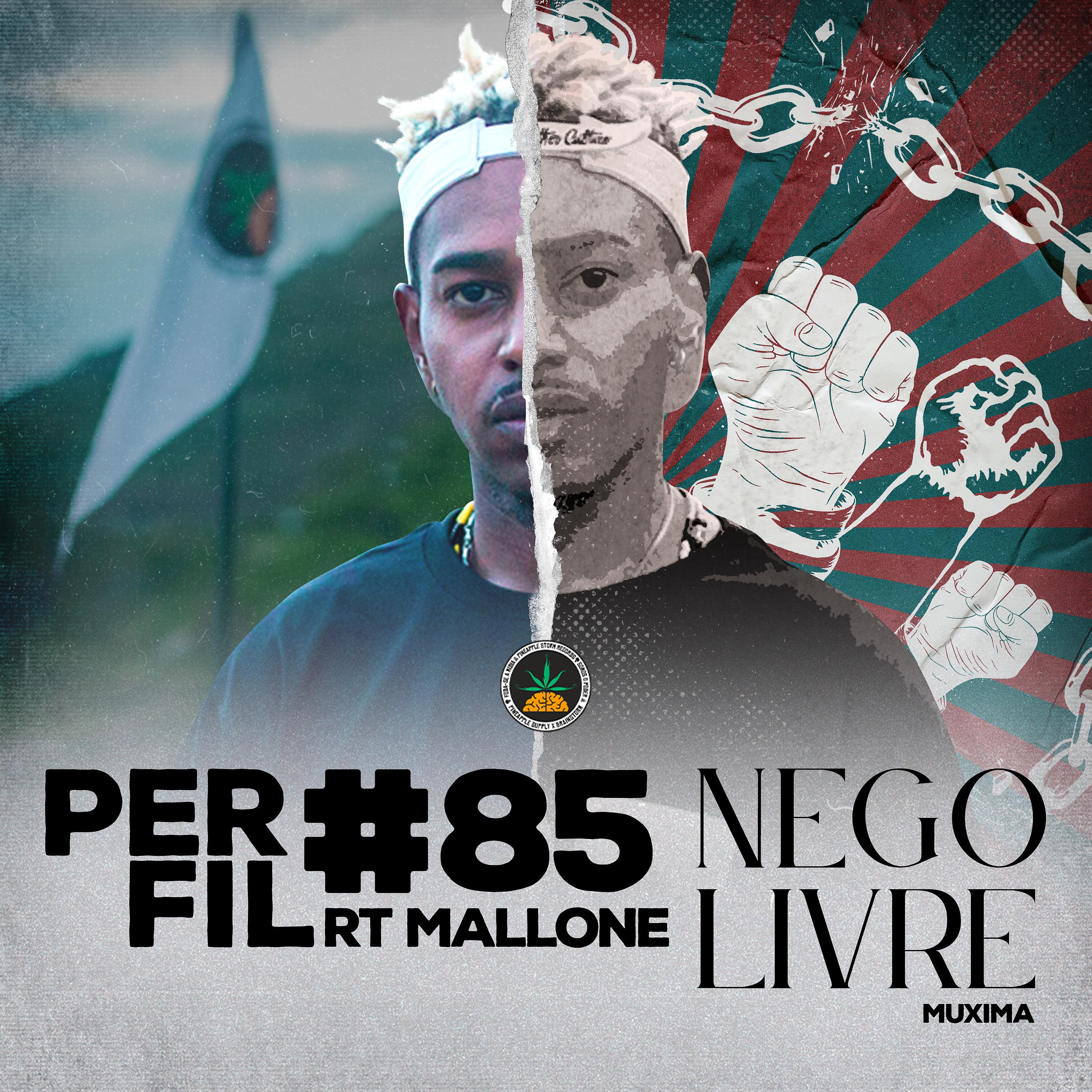 Постер альбома Perfil #85: Nego Livre