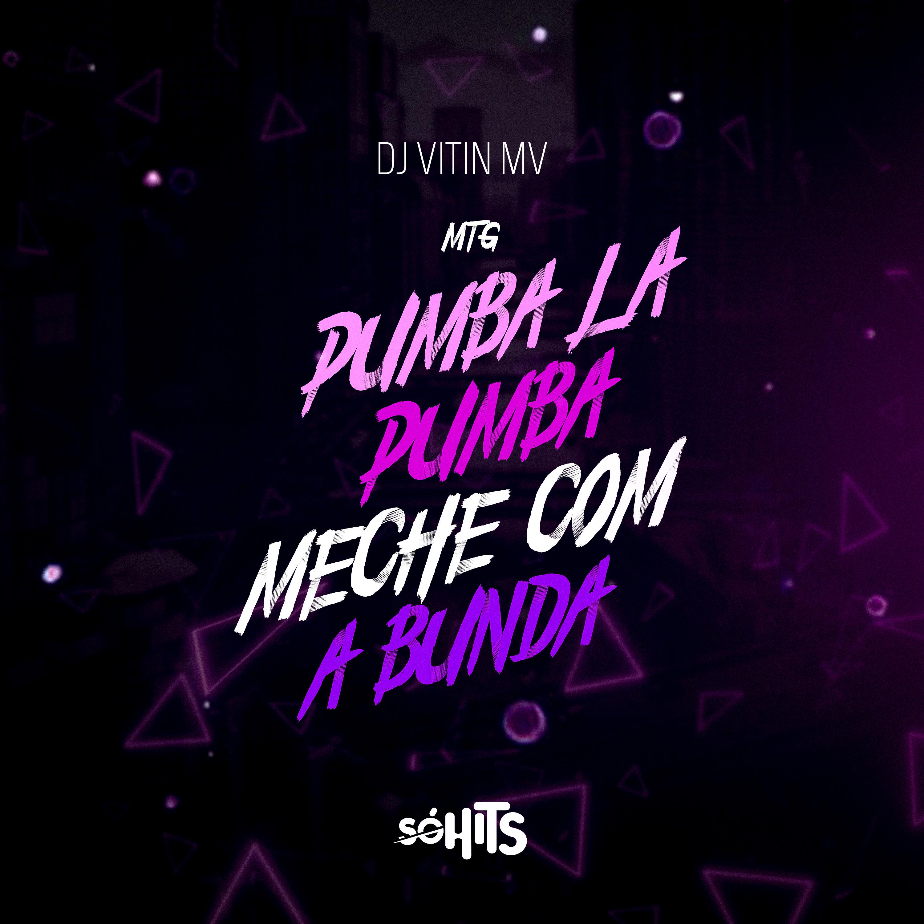 Постер альбома Pumba La Pumba X Meche Com a Bunda
