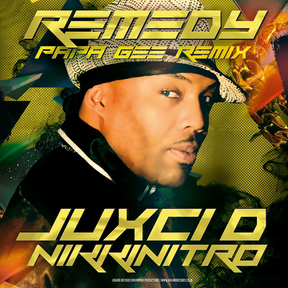 Постер альбома Remedy (Papa Gee Jungle Remix)