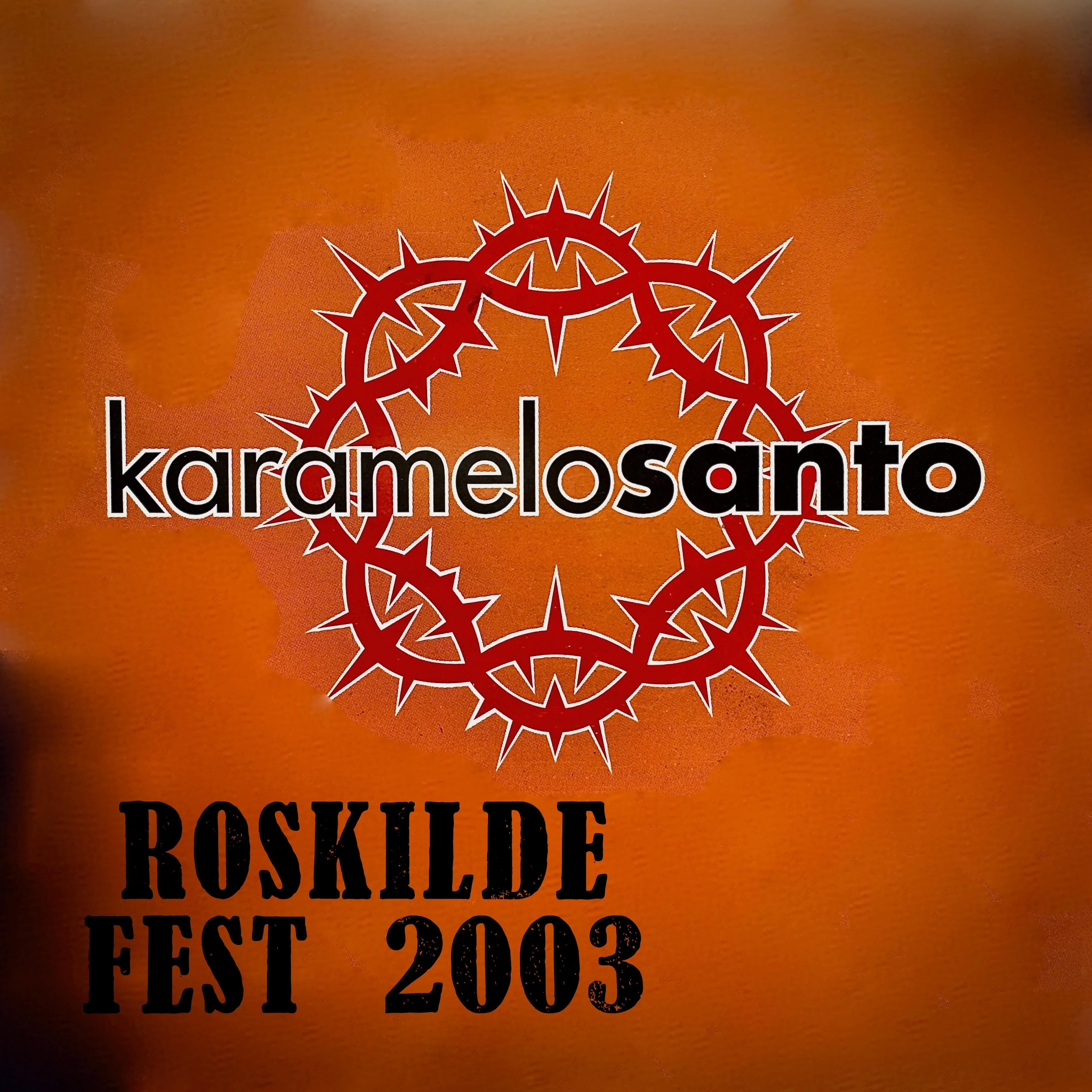 Постер альбома Roskilde Fest 2003