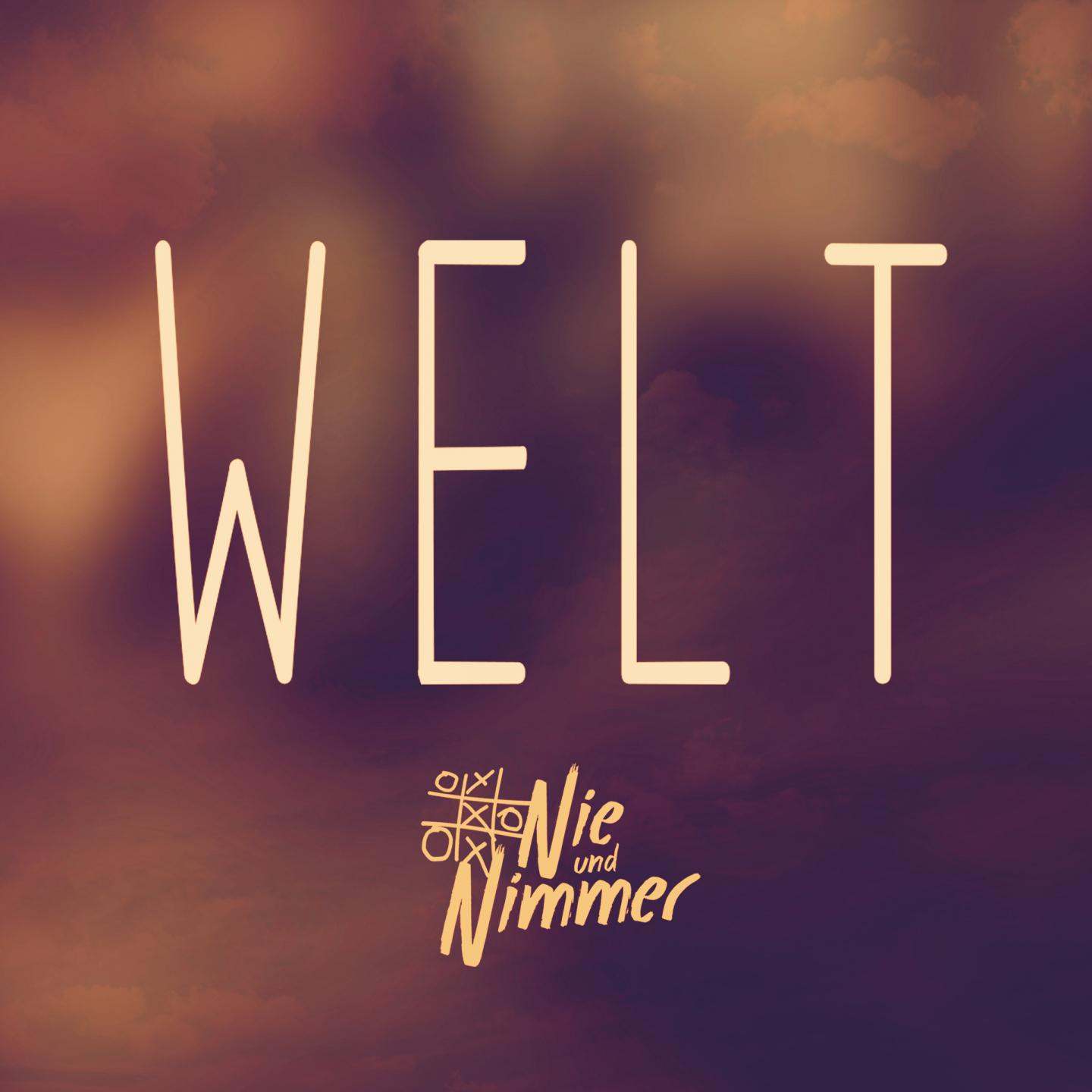 Постер альбома Welt