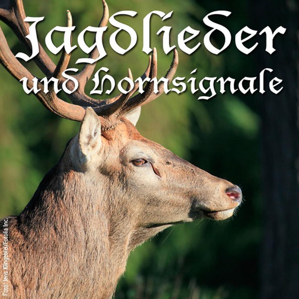 Постер альбома Die schönsten Jagdlieder & Hornsignale