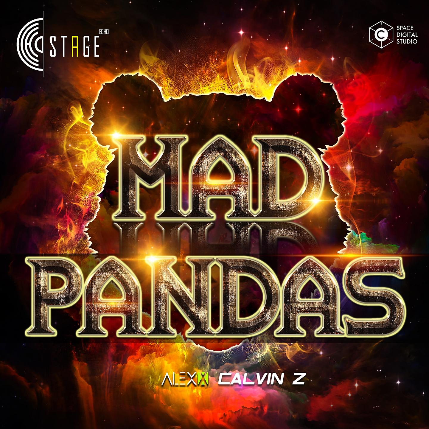 Постер альбома Mad Pandas (Original Mix)