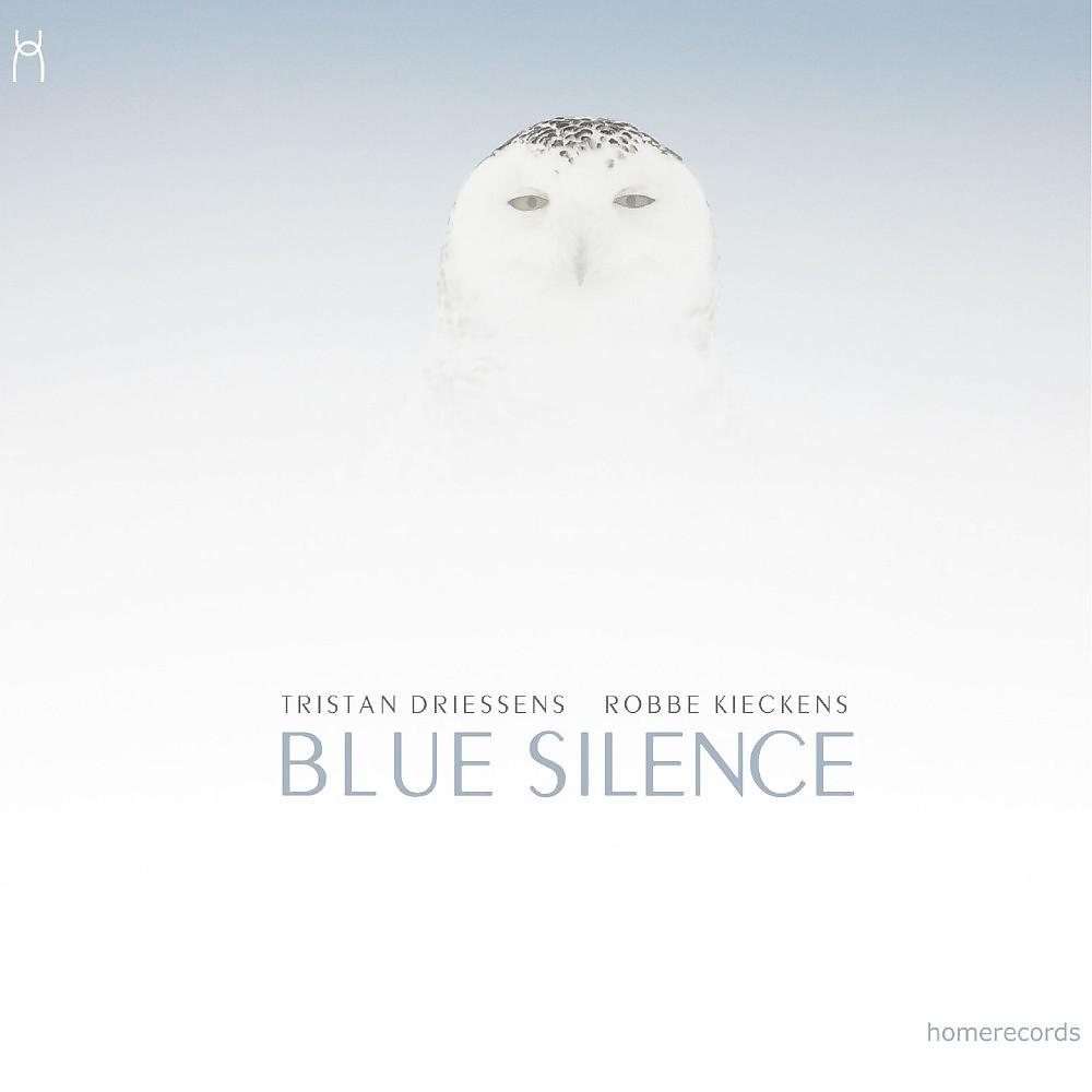 Постер альбома Blue Silence