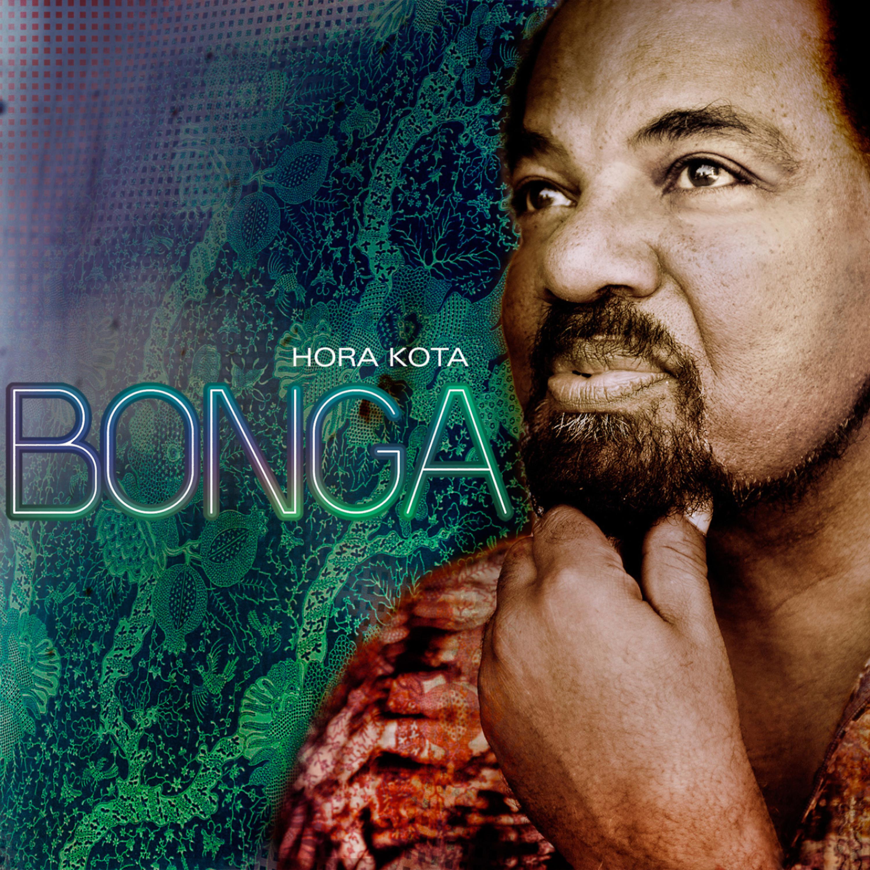 Постер альбома Hora Kota