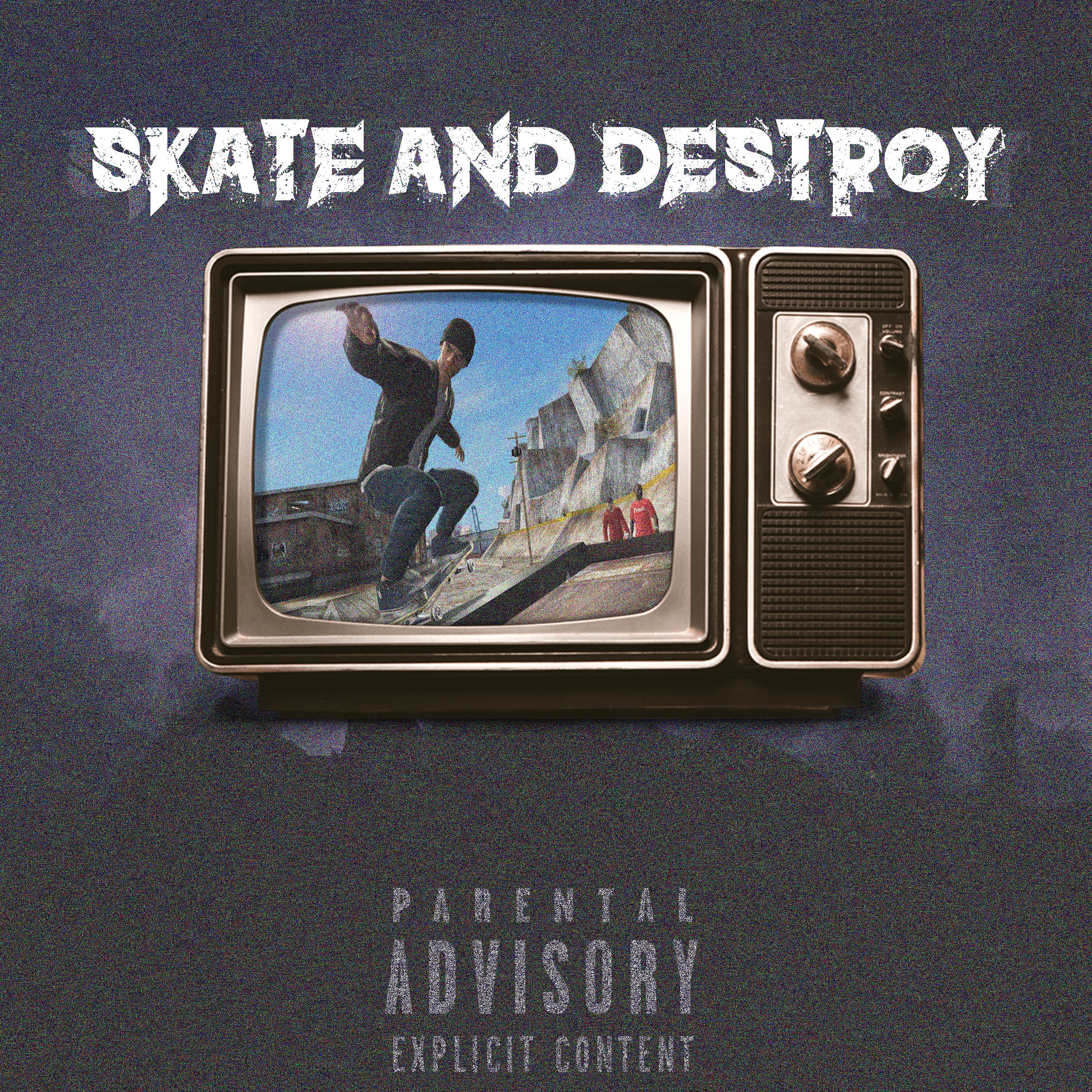Постер альбома Skate and Destroy