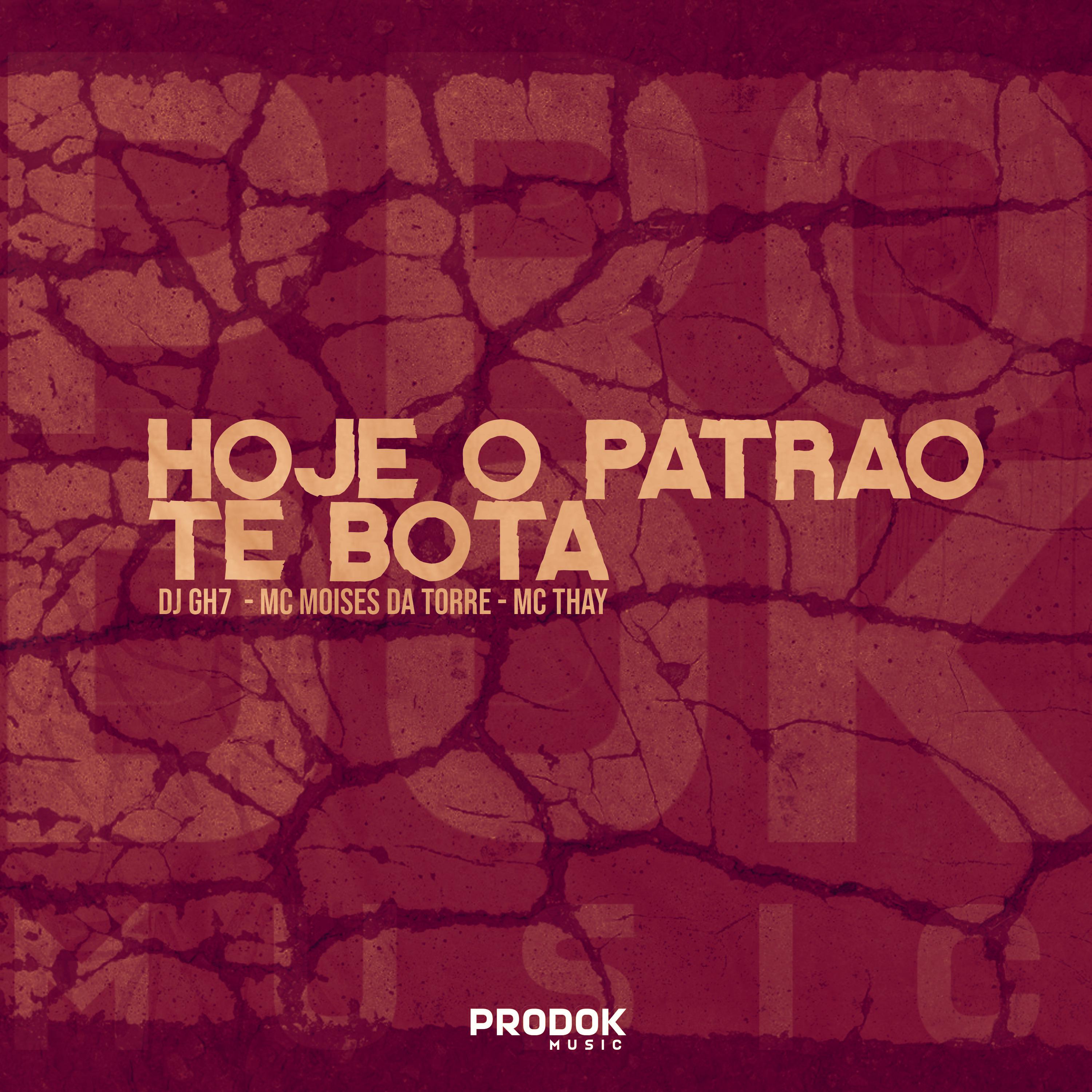 Постер альбома Hoje o Patrão Te Bota