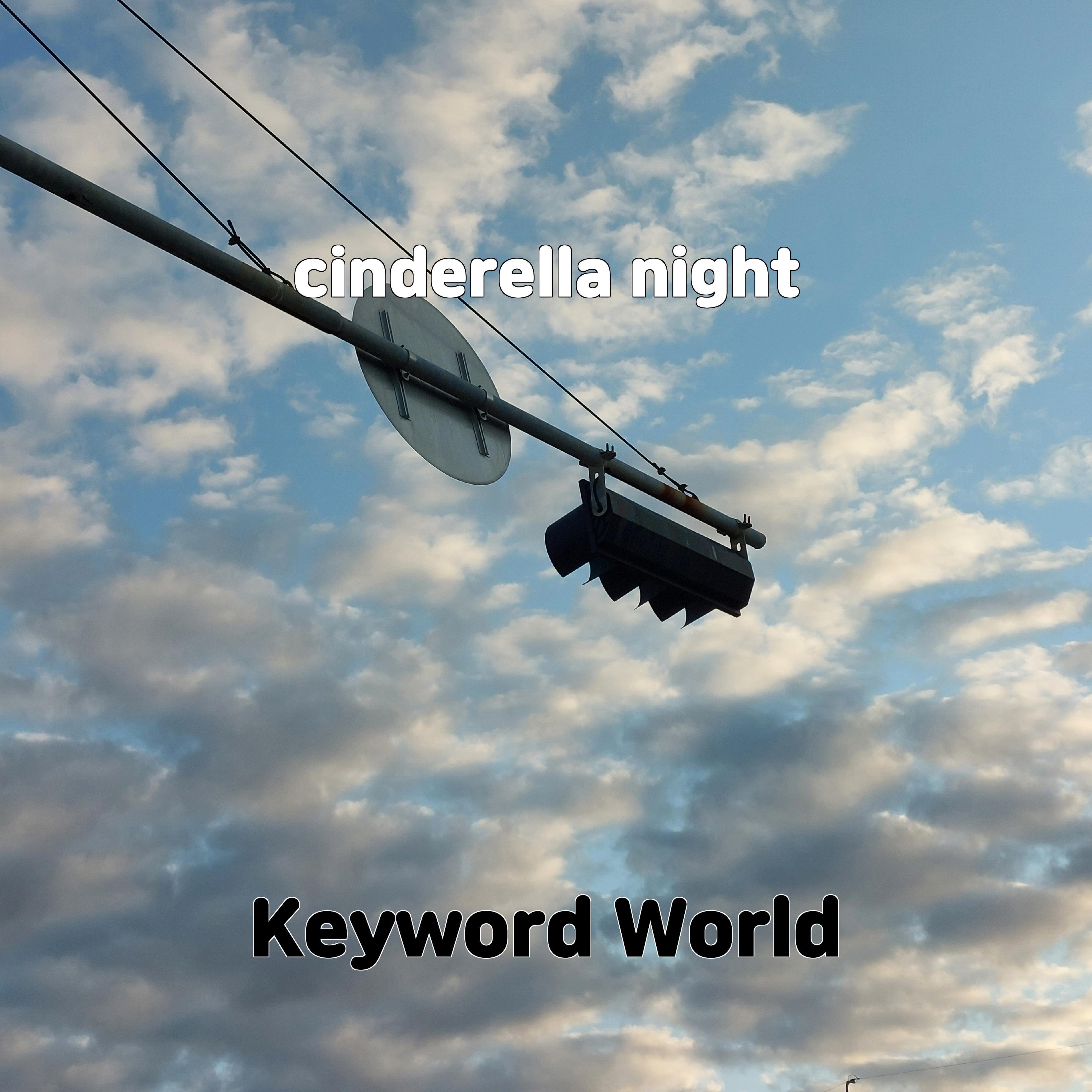Постер альбома cinderella night