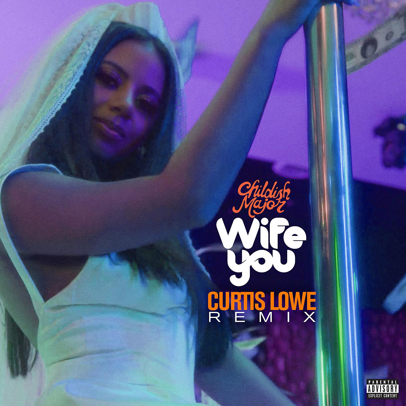 Постер альбома Wife You (Curtis Lowe Remix)