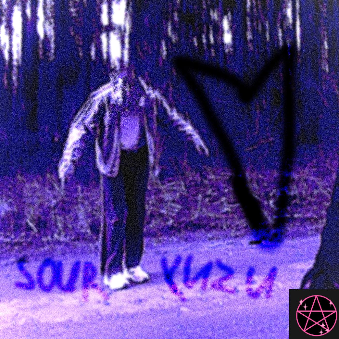 Постер альбома Heartcutter///Wristslasher