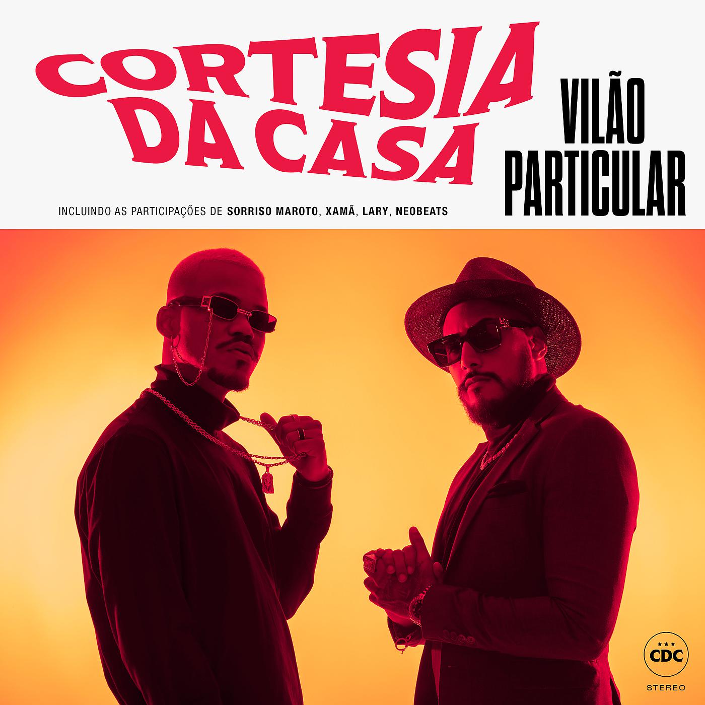 Постер альбома Vilão Particular