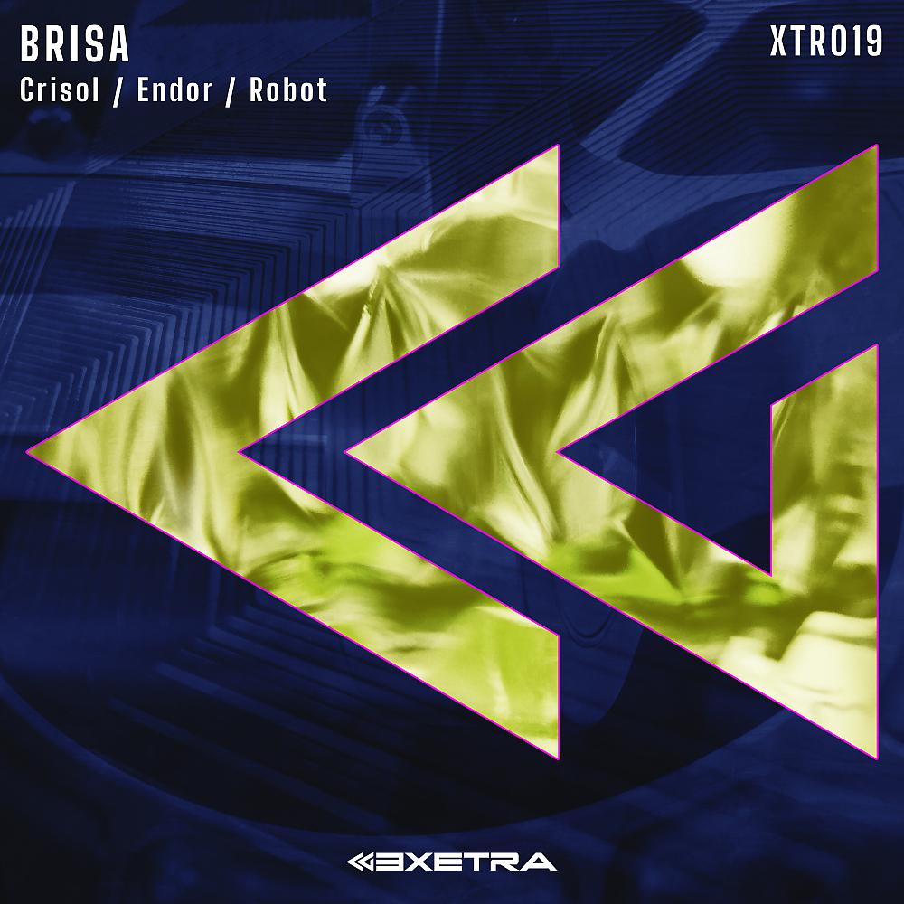 Постер альбома Crisol / Endor / Robot