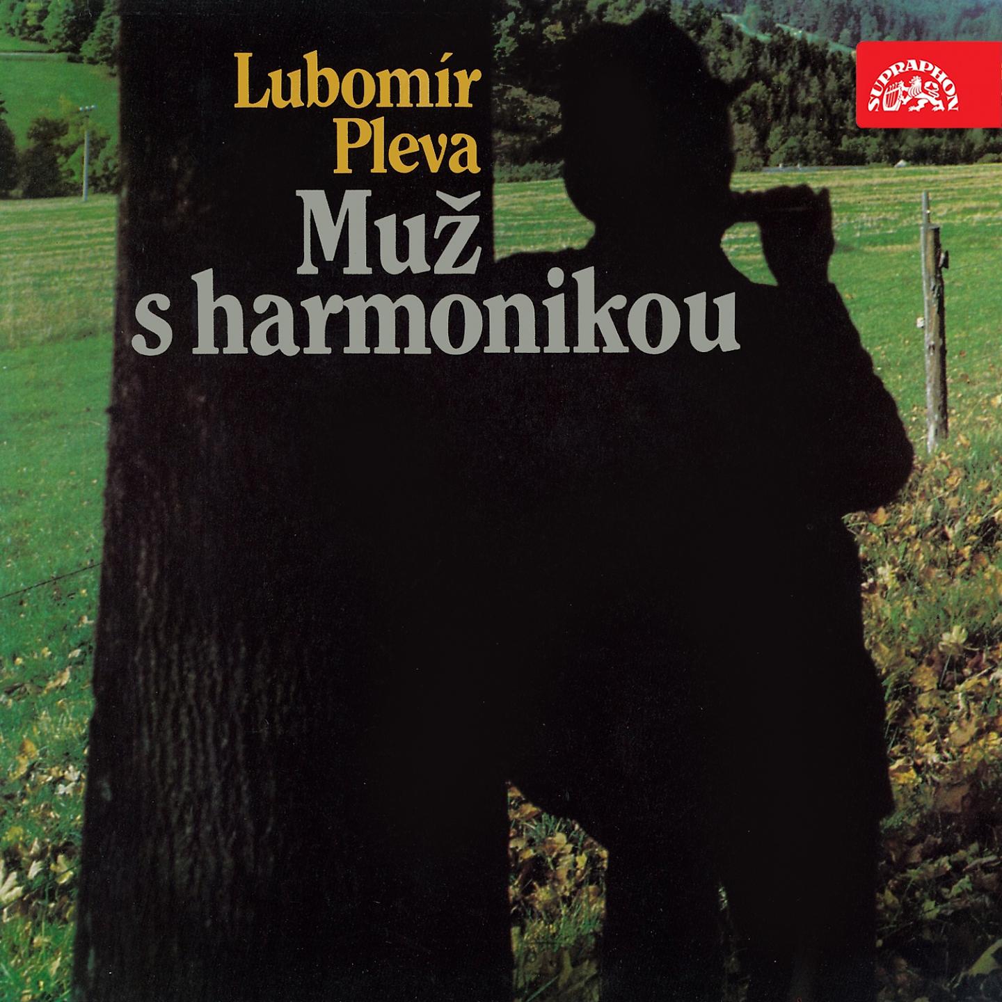 Постер альбома Muž S Harmonikou