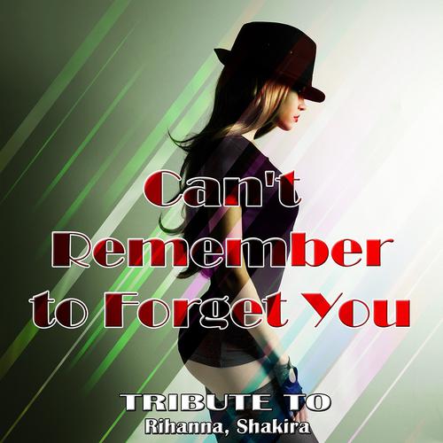 Постер альбома Can't Remember to Forget You : Tribute To Rihanna, Shakira