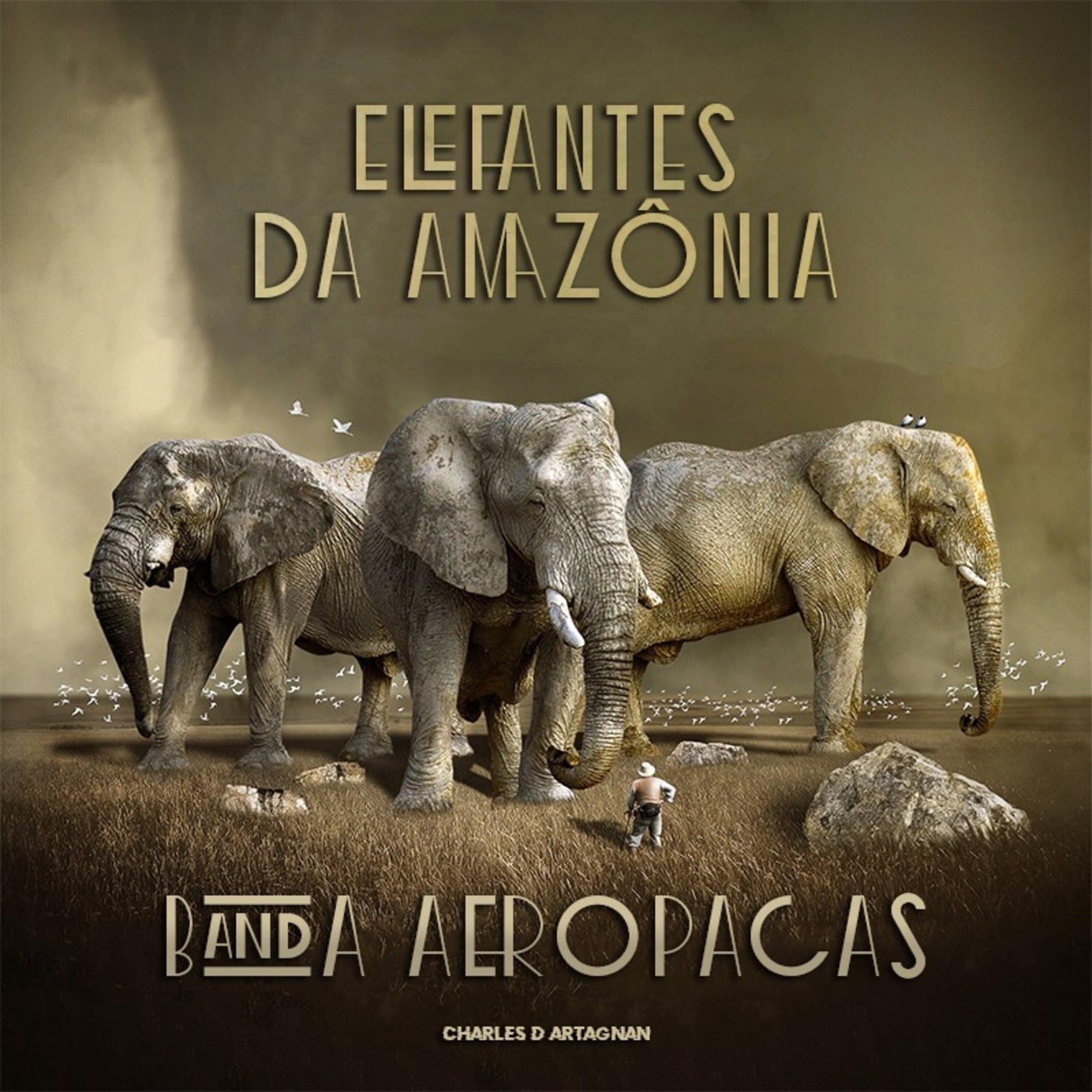 Постер альбома Elefantes da Amazônia